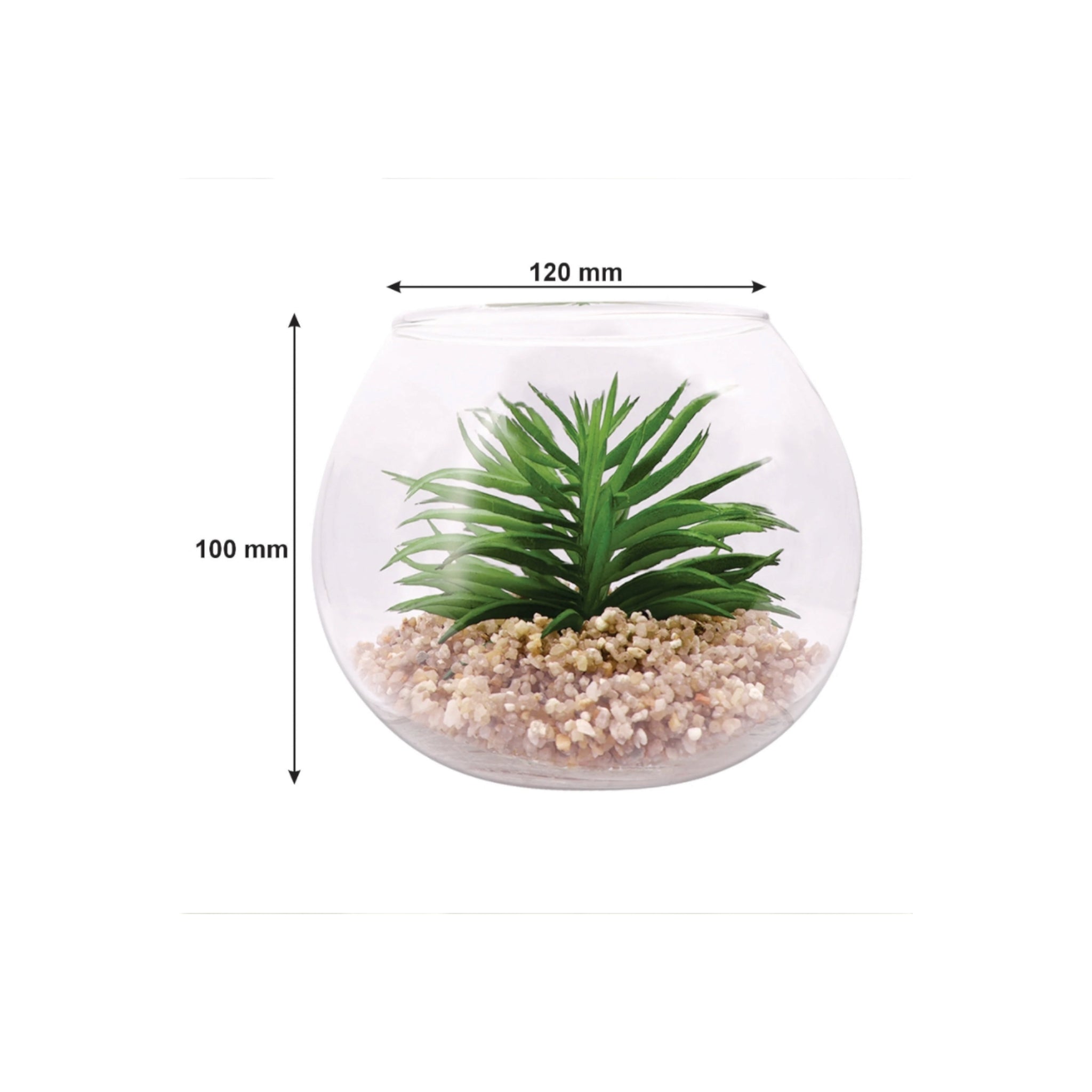 Regent Artificial Succulent In Clear Glass Pot Large 120x100mm