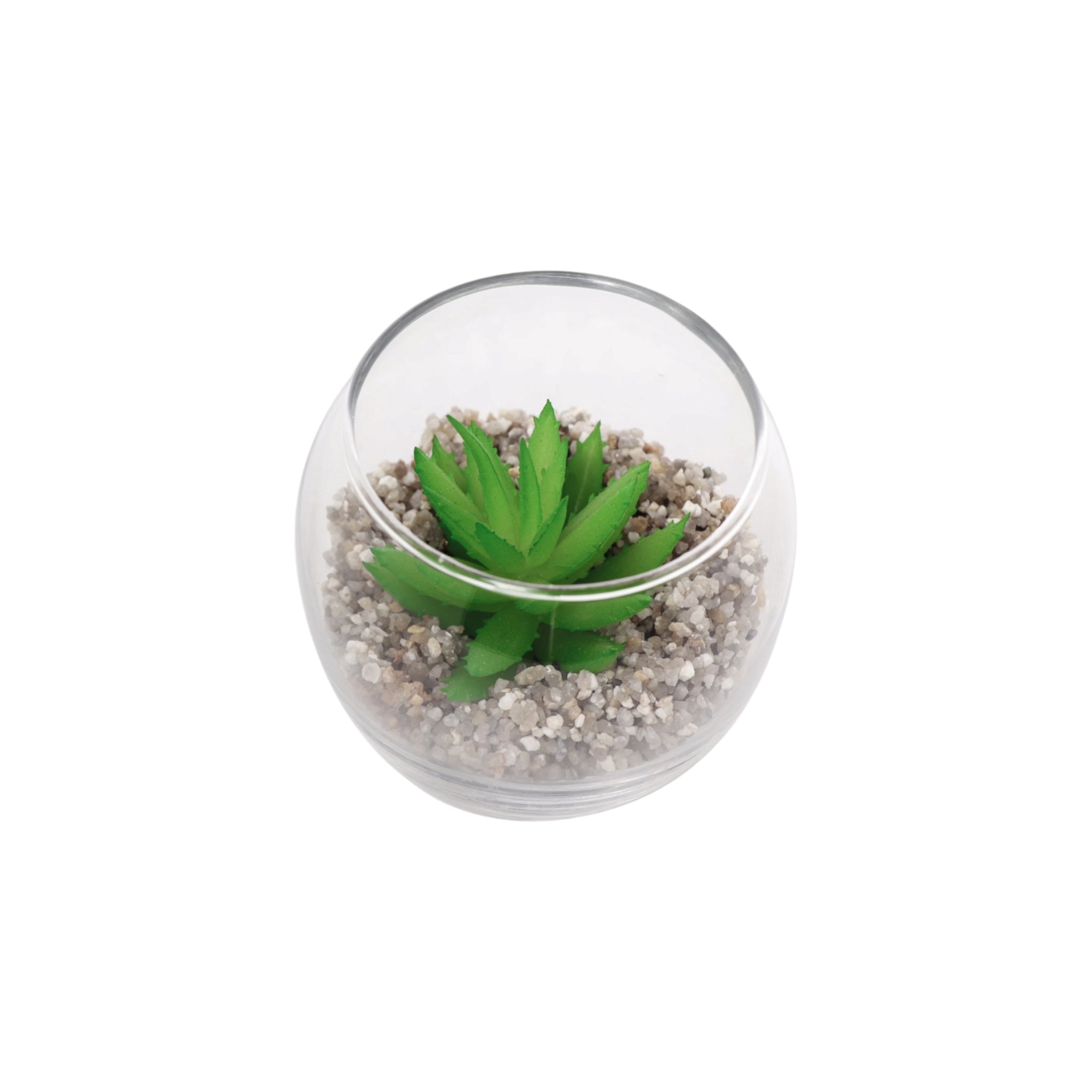 Regent Artificial Succulent In Clear Glass Pot Small 80x68mm