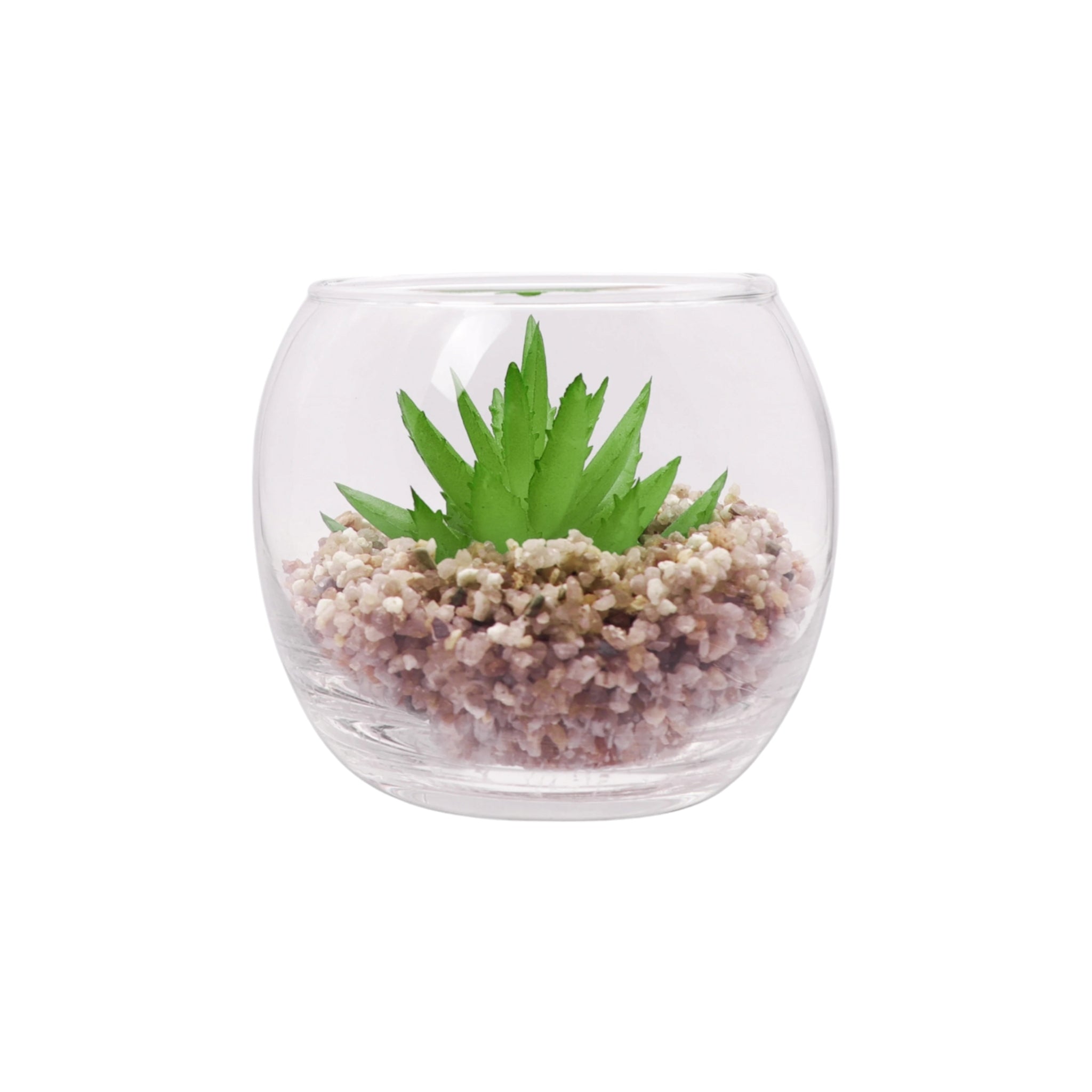 Regent Artificial Succulent In Clear Glass Pot Small 80x68mm