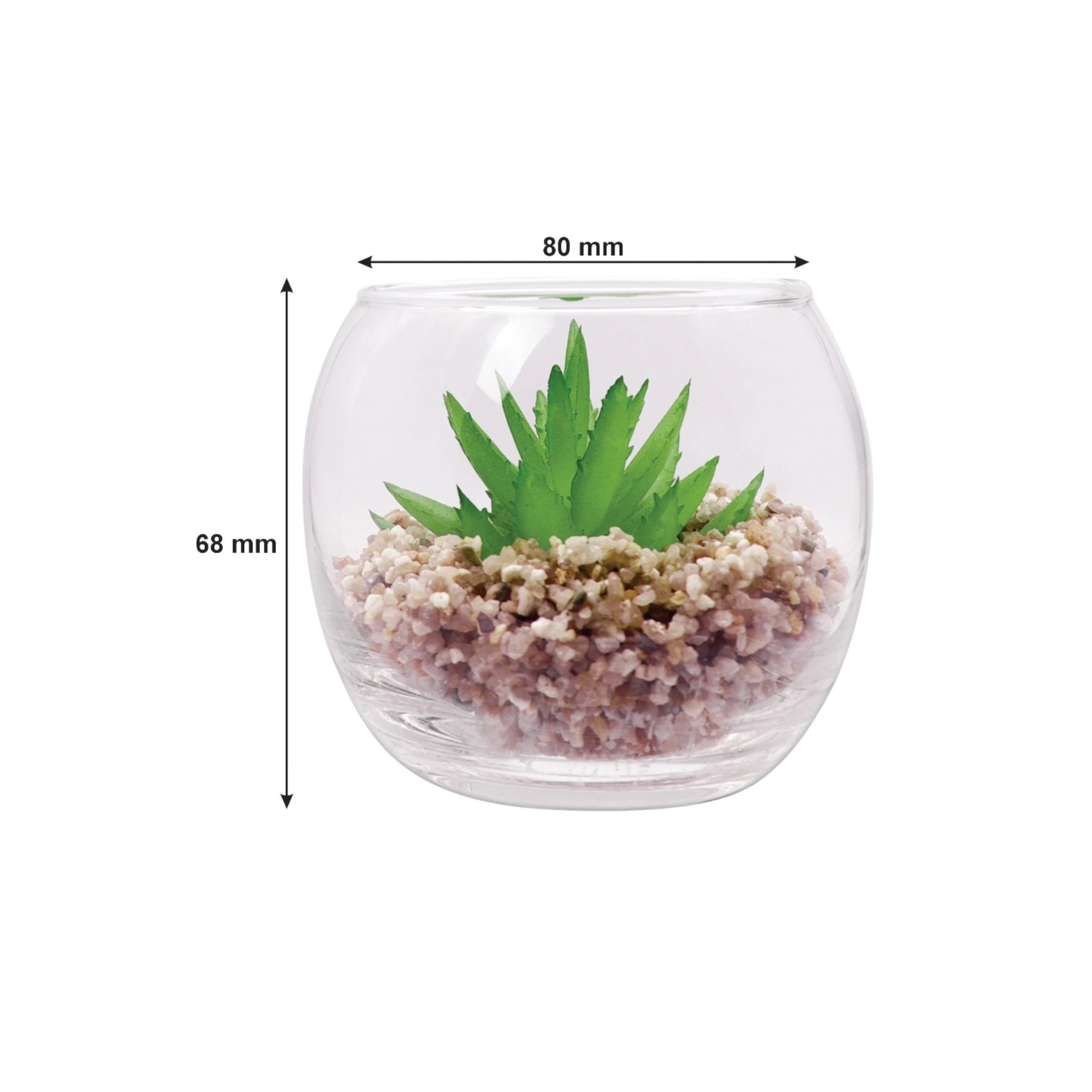 Regent Artificial Succulent In Clear Glass Pot Small 80x68mm