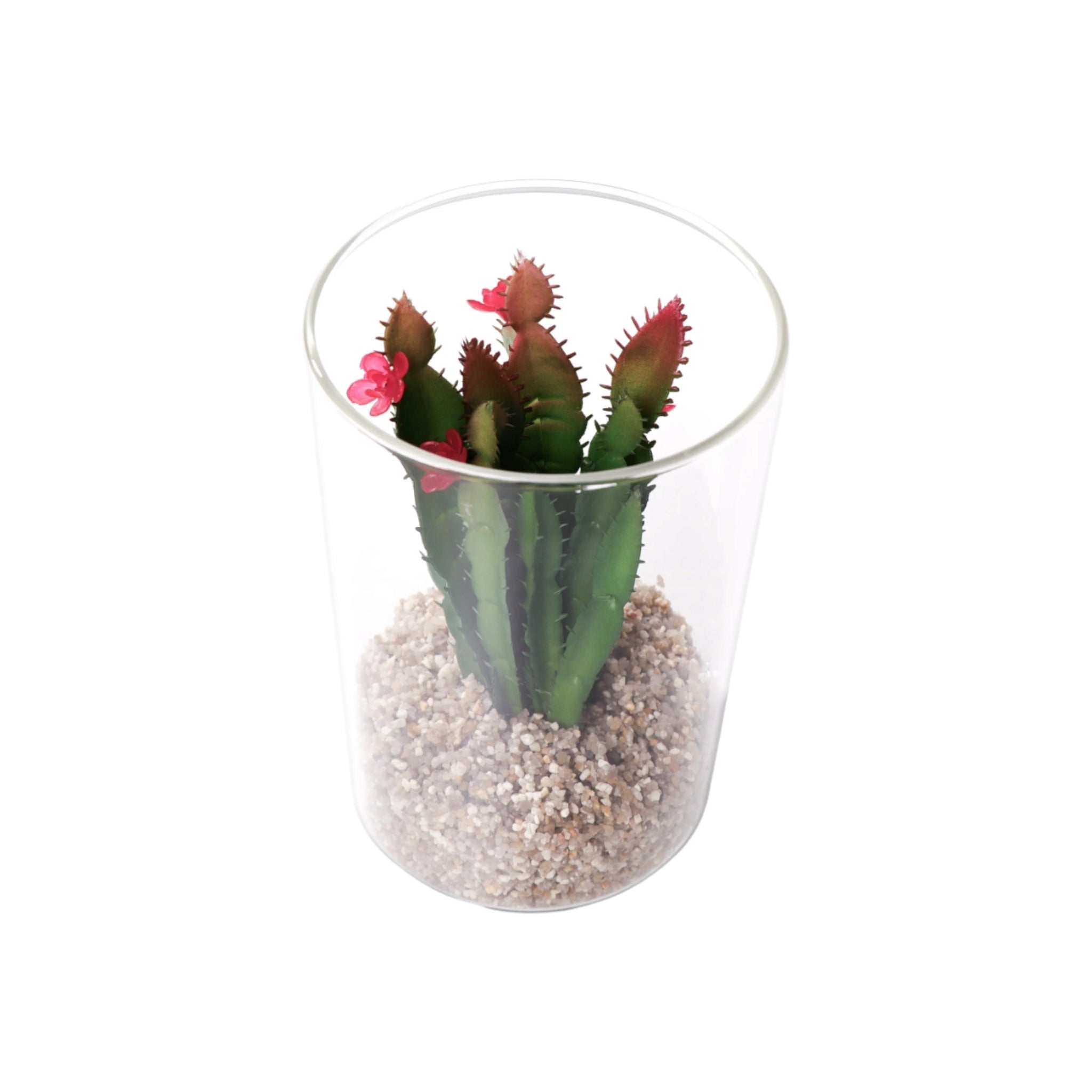 Regent Artificial Succulent In Clear Glass Large 100x150mm