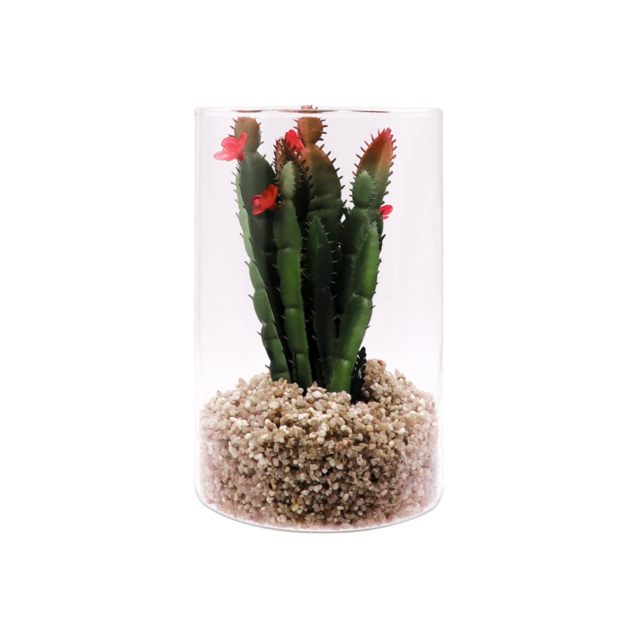 Regent Artificial Succulent In Clear Glass Large 100x150mm