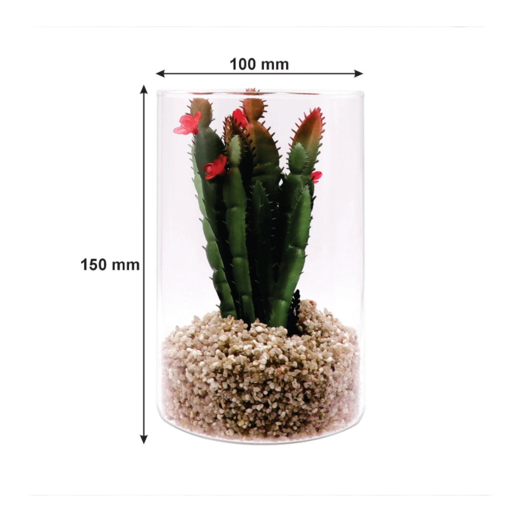 Regent Artificial Succulent In Clear Glass Large 100x150mm