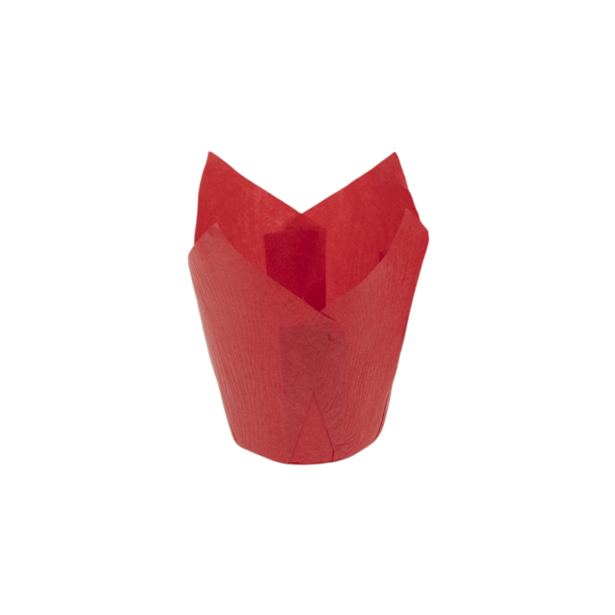 Regent Tulip Cupcake Paper Liners Red PET Lined 25pack 71524