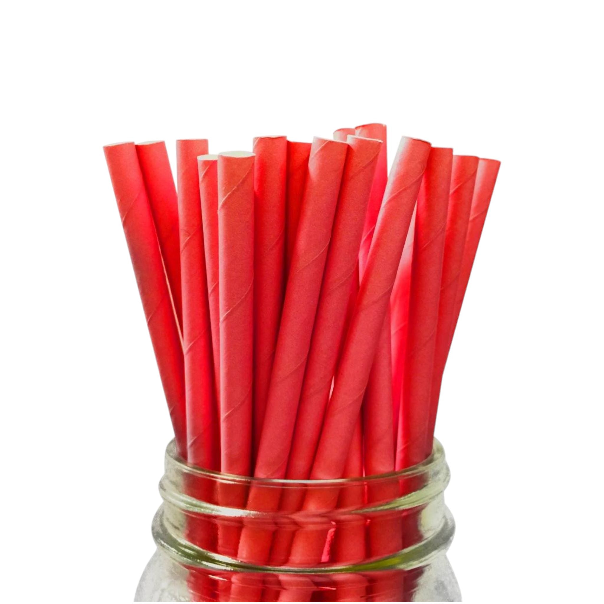 Disposable Paper Straws Red  19.5cmx6mm 25pack