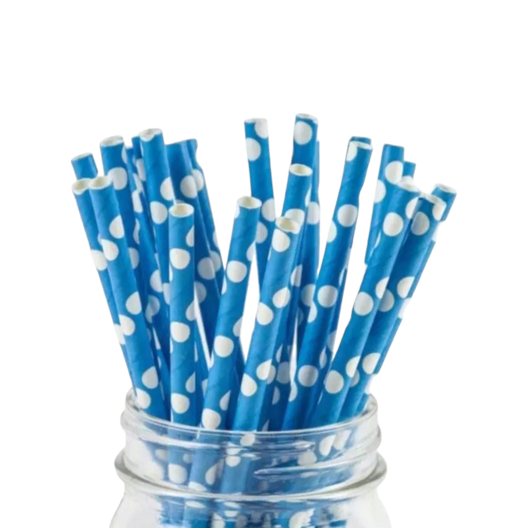 Disposable Paper Straws Polka Dot 6mmx19cm 20pack