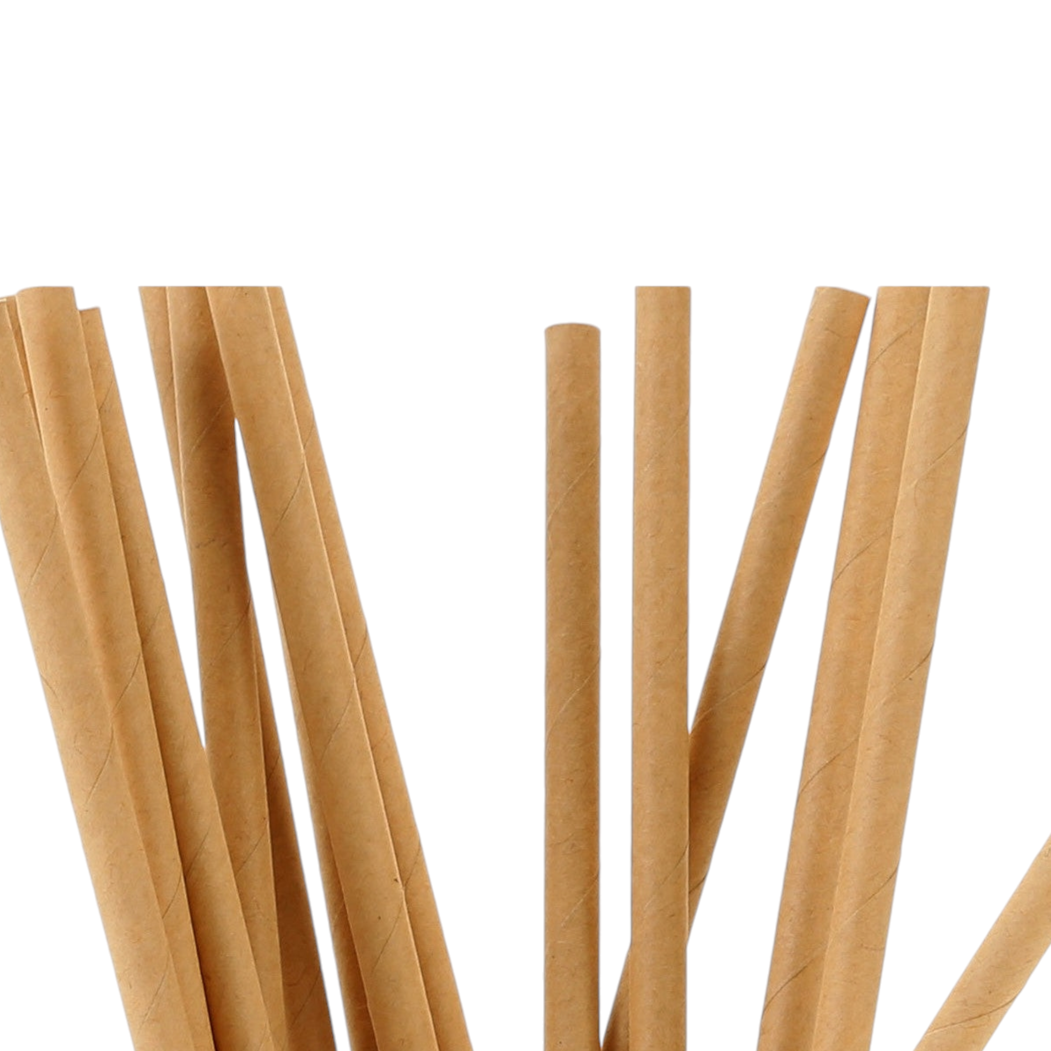 Biodegradable Kraft Paper Straws 6mm 100pack