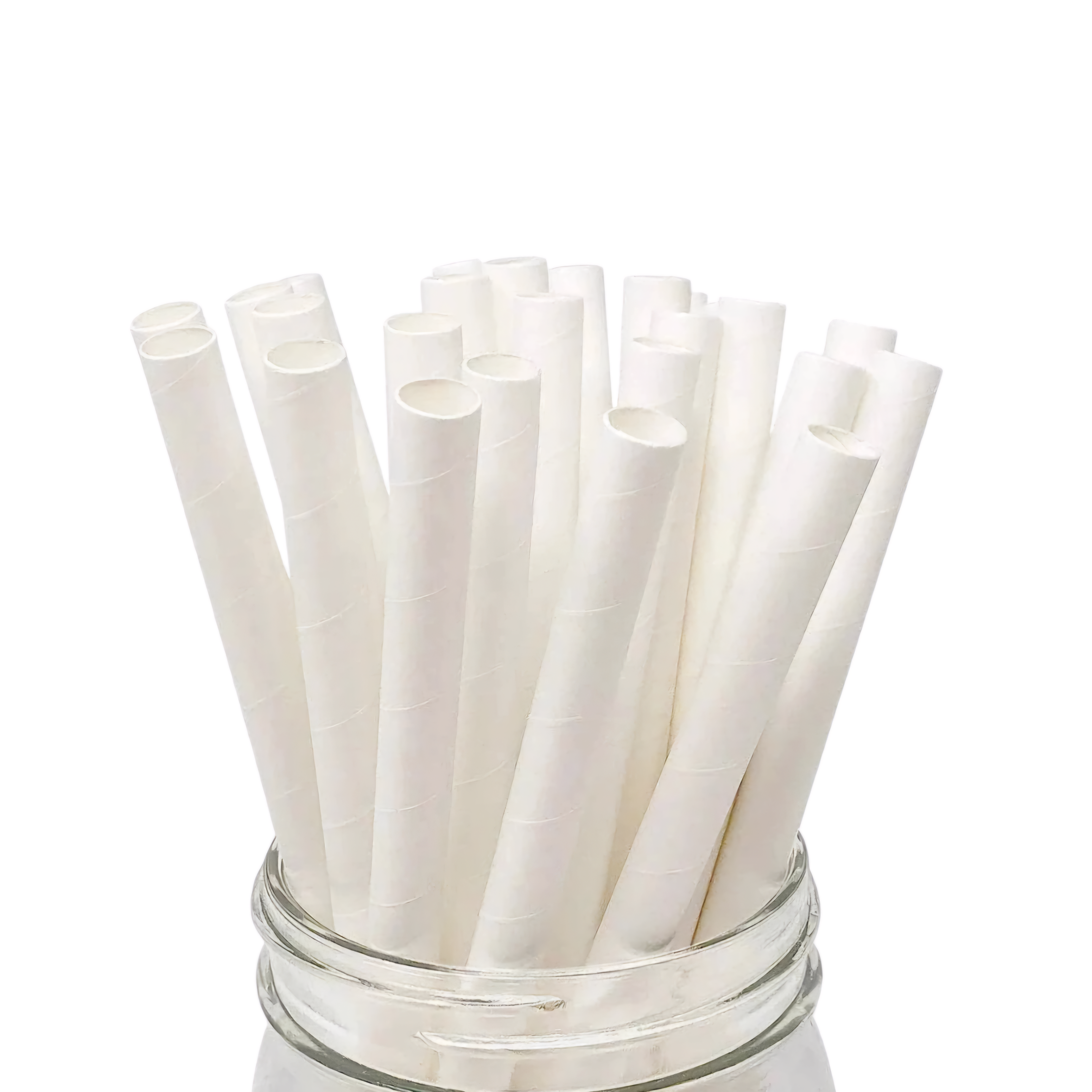 Bubble Tea Disposable Paper Straw 25pack