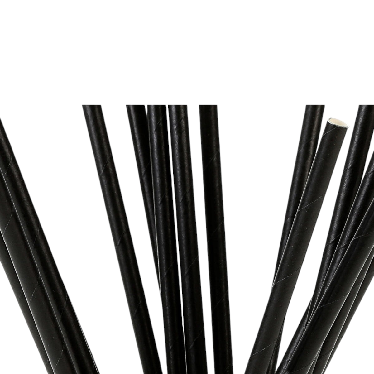 Disposable Paper Straws Plain Black 6mm 100pack