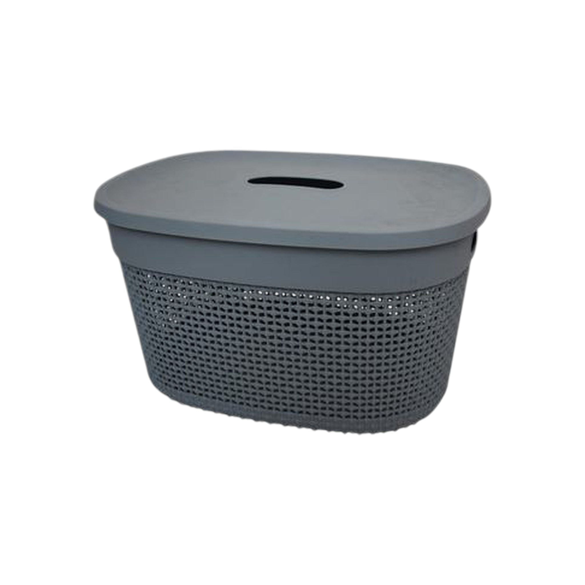 Plastic Storage Carry Basket 17L with Lid  408