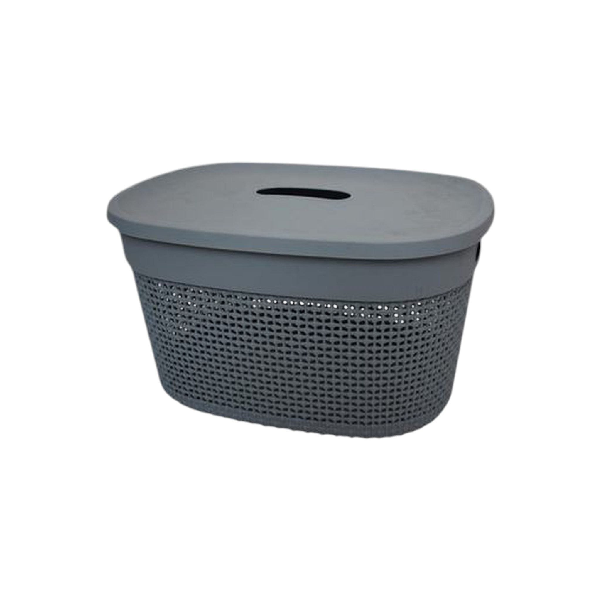 Plastic Storage Carry Basket 17L with Lid  408