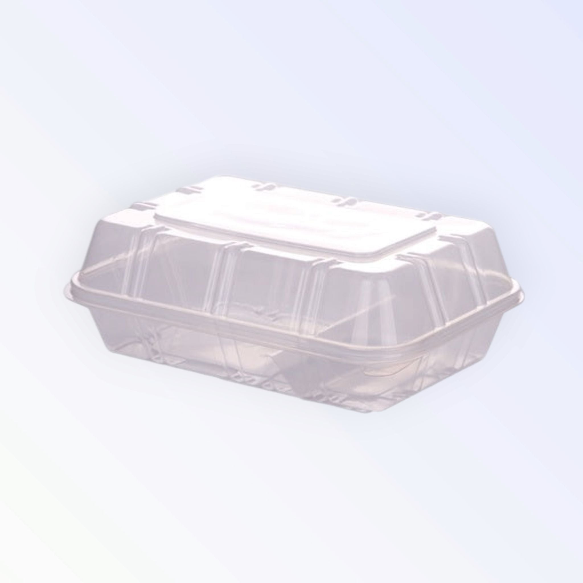 Zibo Lunch Box Clamshell Fast Food 2-Division Clear 129