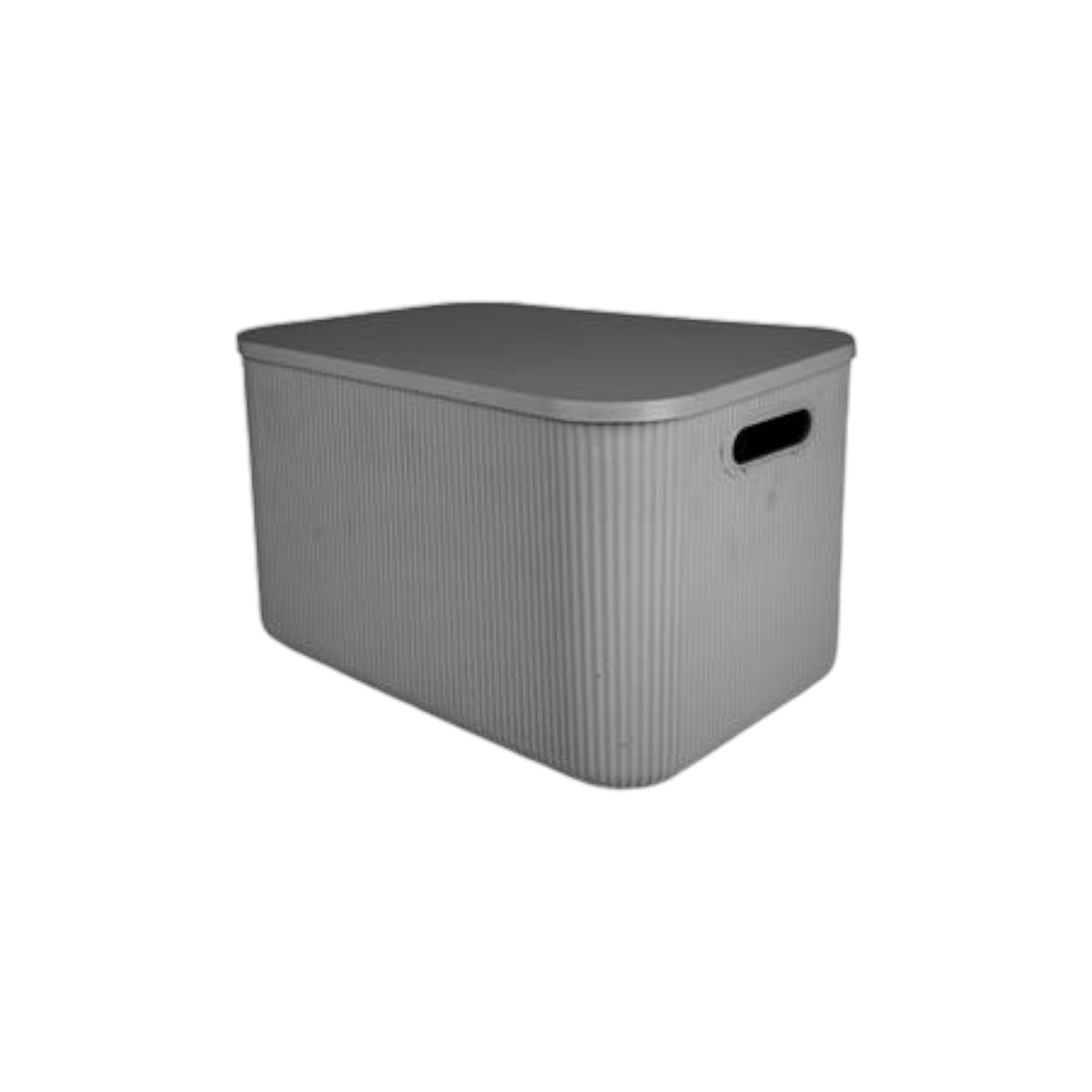 Multipurpose Plastic Storage Box Shell Design with Lid 21L