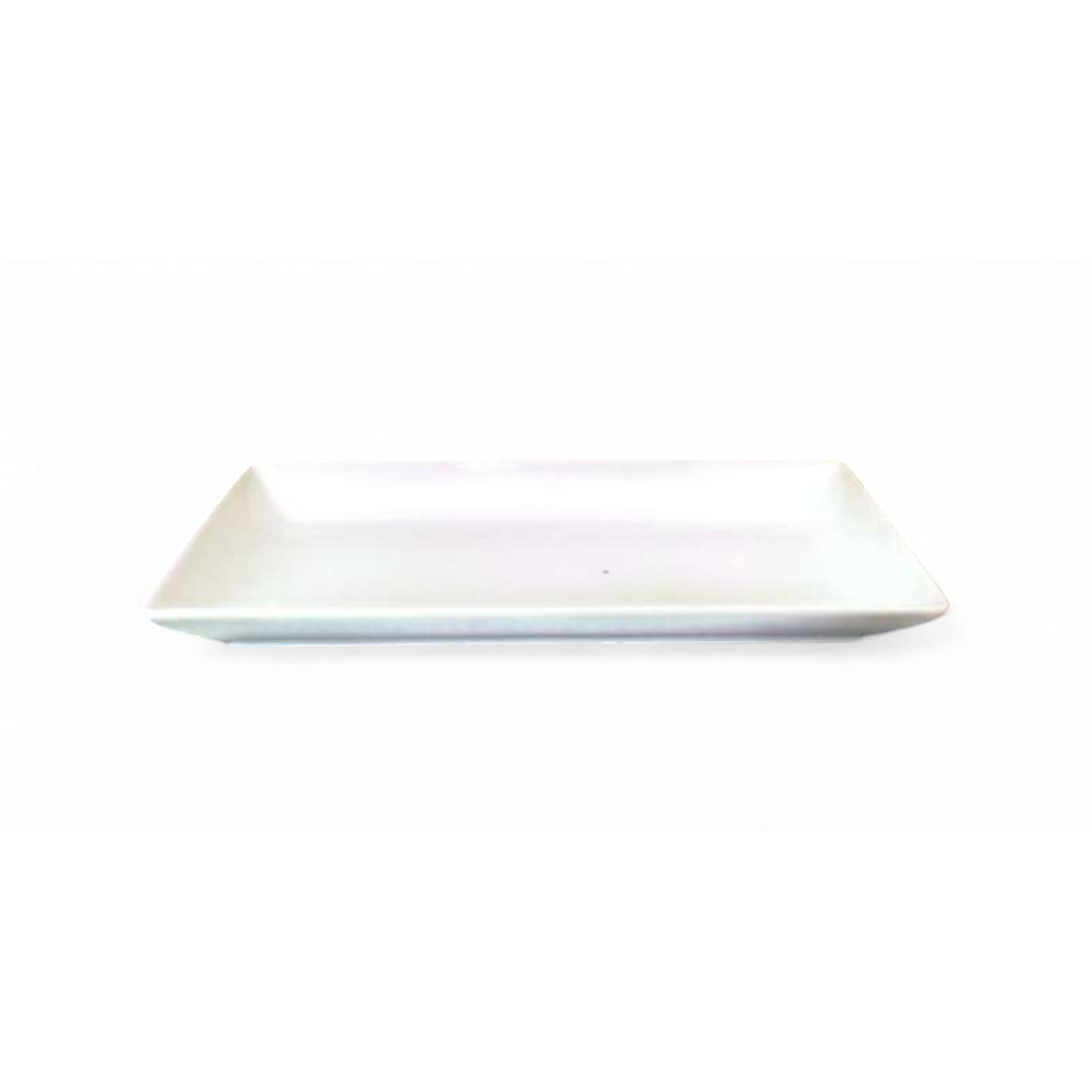 White Ceramic Serving Dinner Plate 12Inch 30.5x16x3.3cm