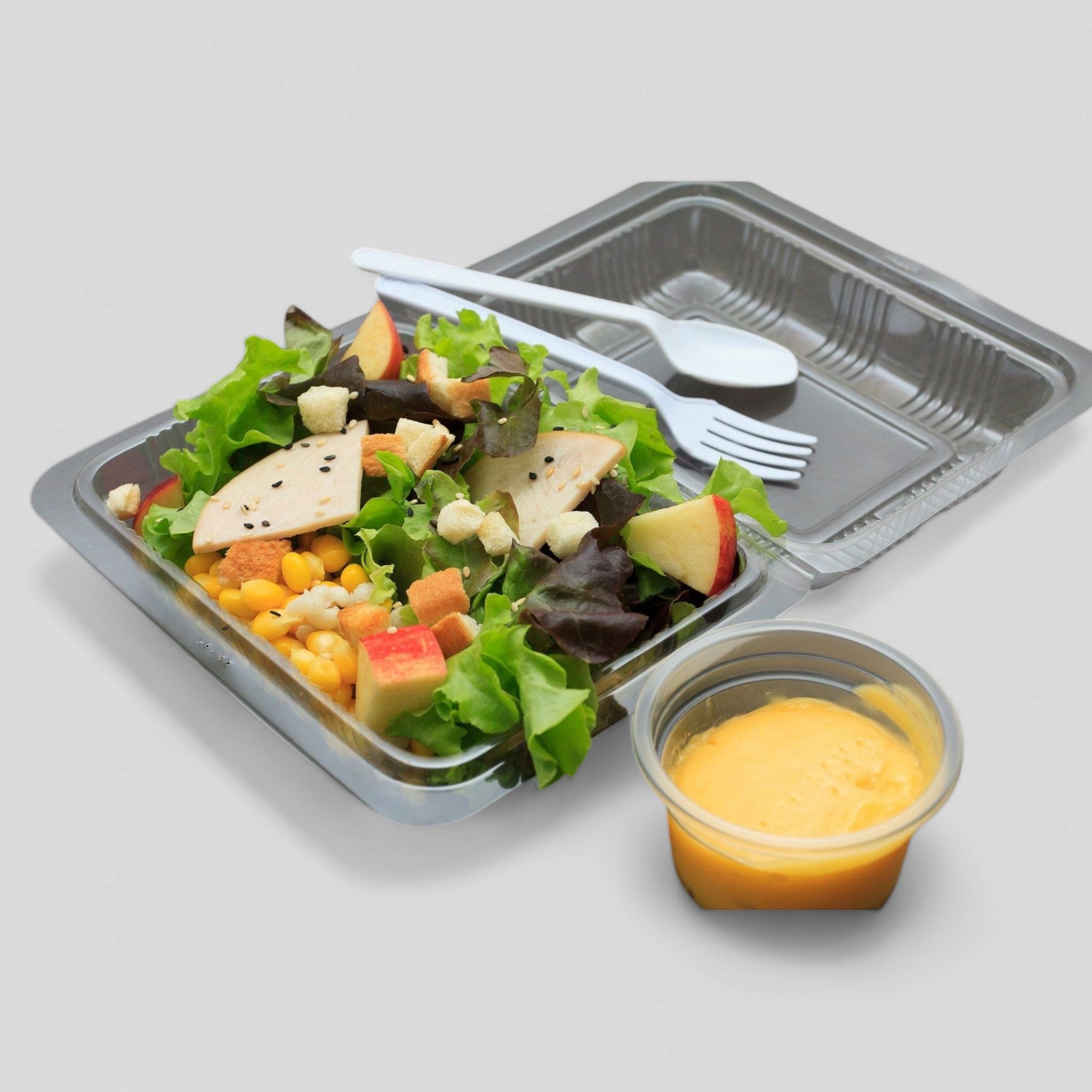 Zibo Lunch Meal Container Box Clear Clamshell - No Division