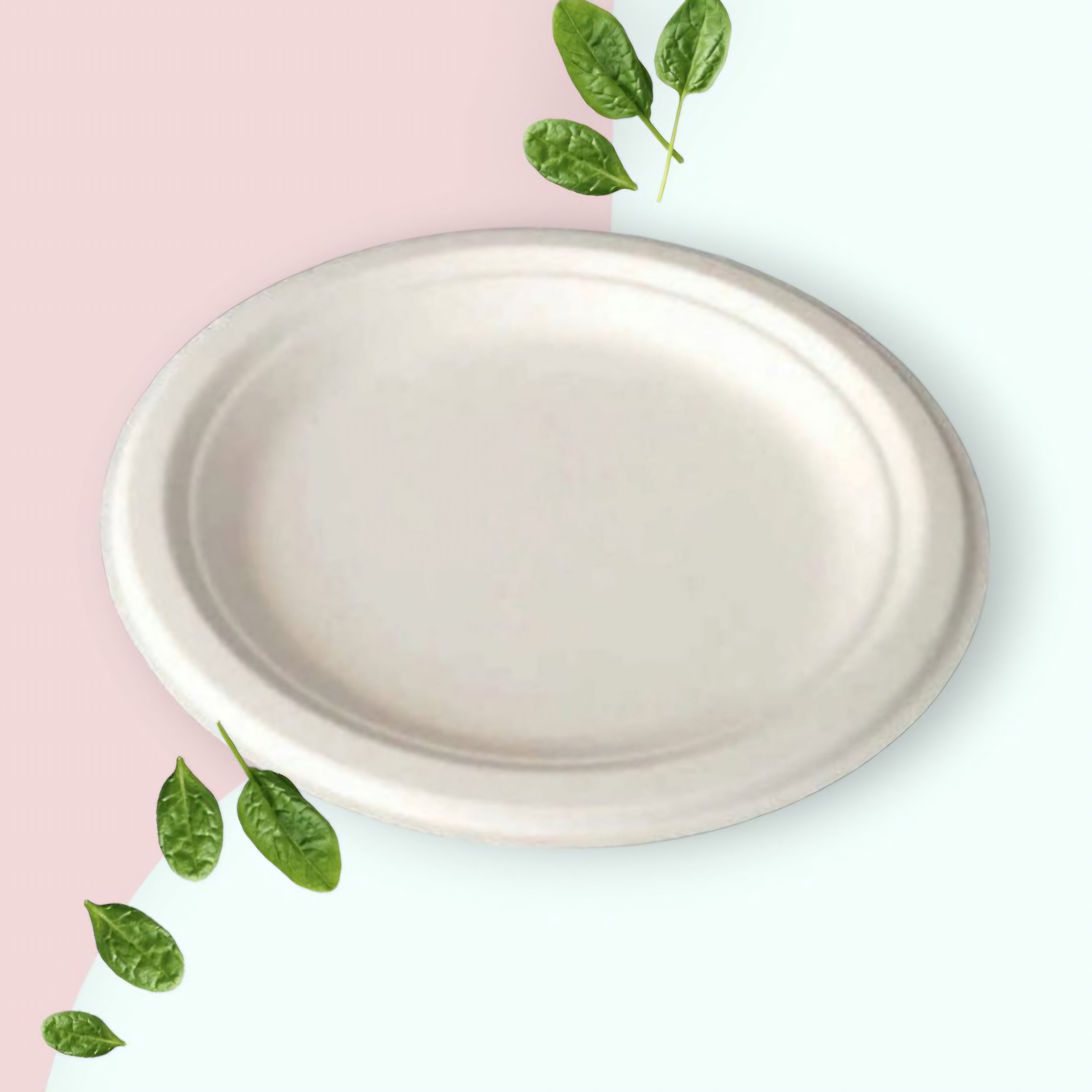 Biodegradable Round Plate 9inch Takeaway Disposable Sugar Cane