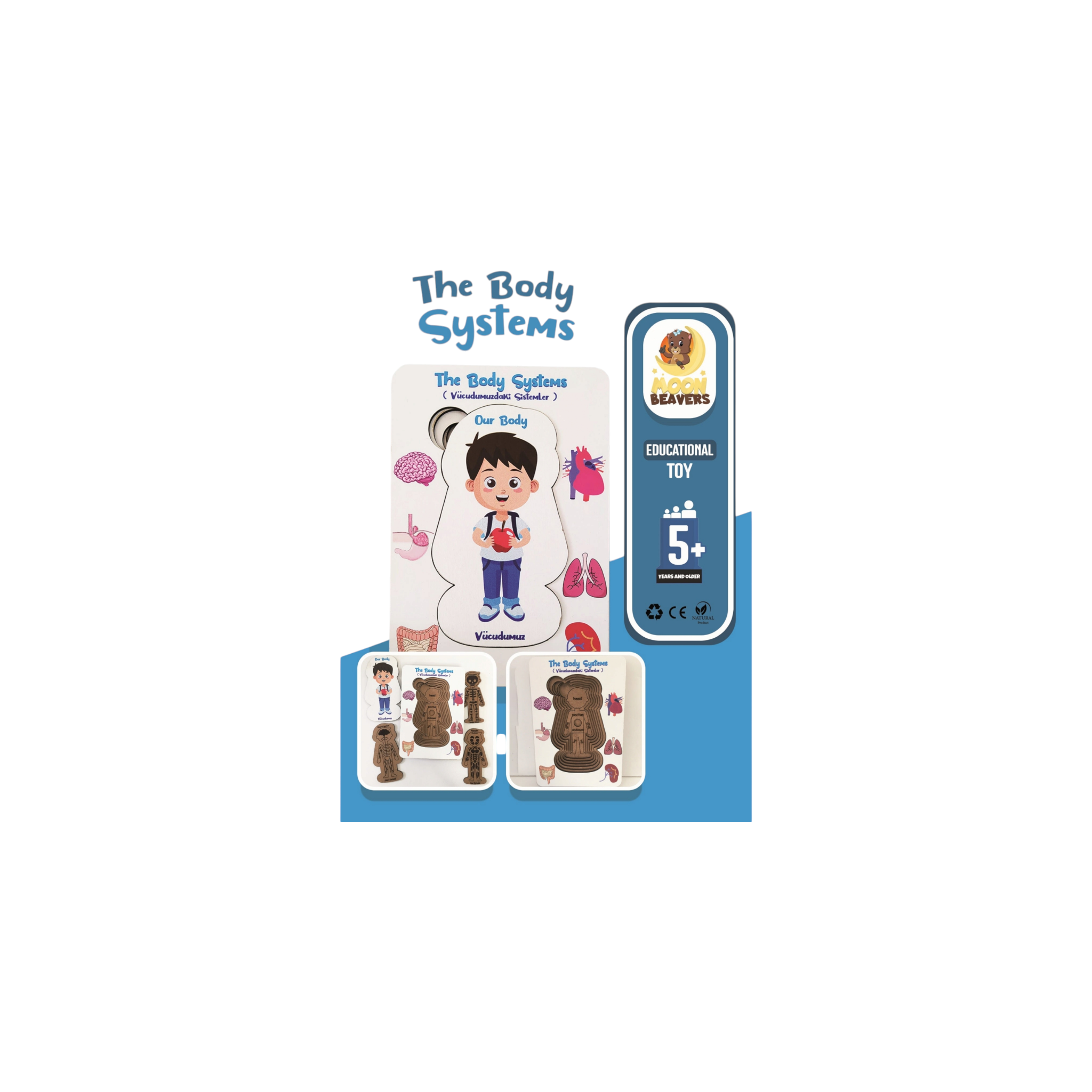 Educational Toy The Body System Puzzle Boy 13x18cm MB34