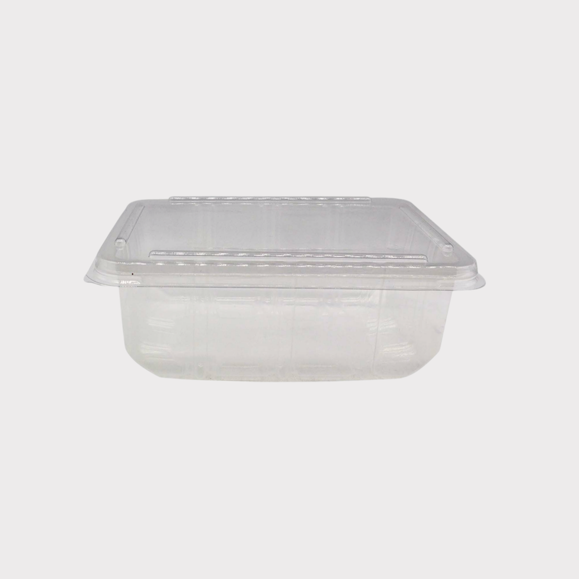 Zibo Disposable Deli-Fruit Salad-Fast Food Container FT70 T556 with L360 Lid 10pack