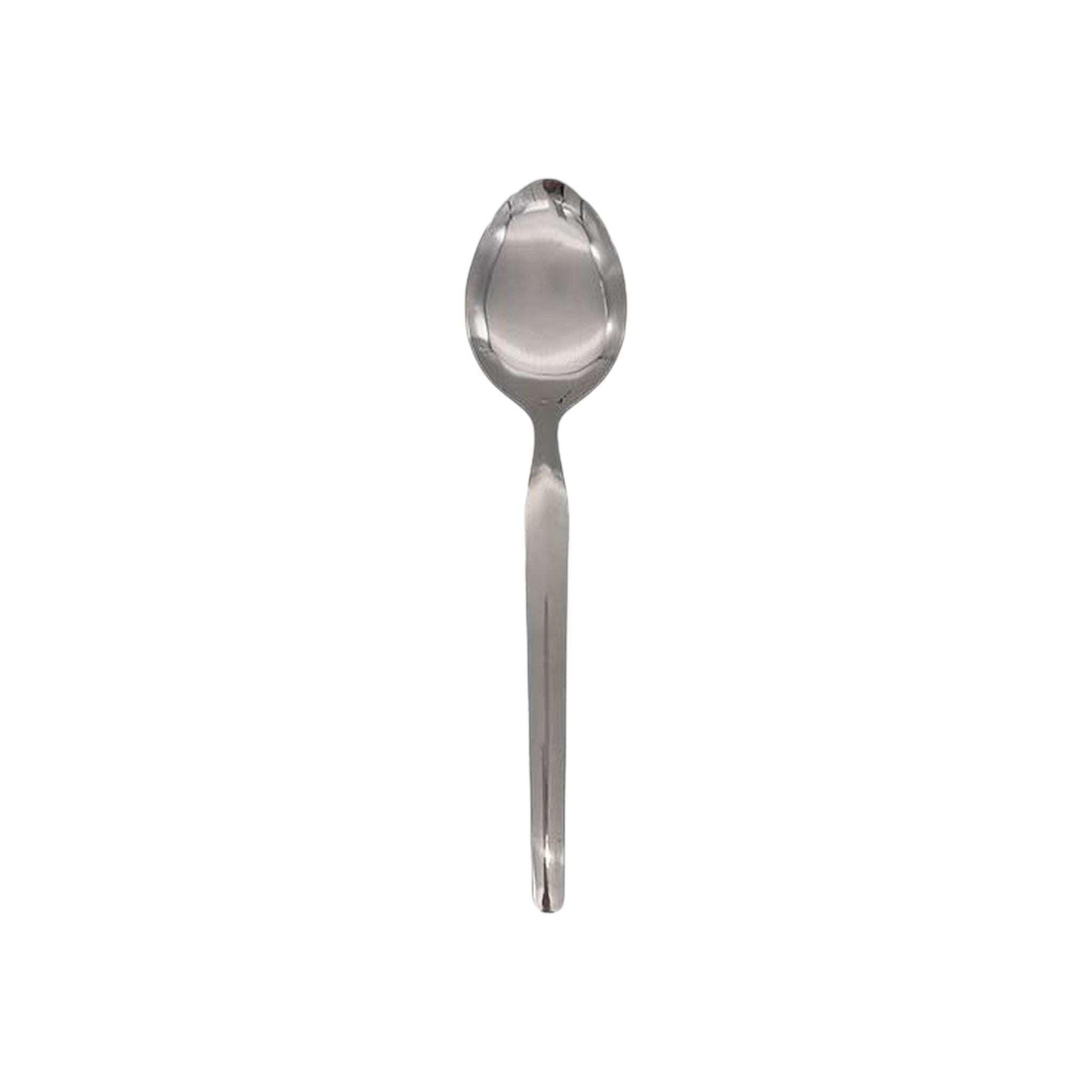 Eloff Rice Spoon Shine 27cm Stainless Steel SGN929