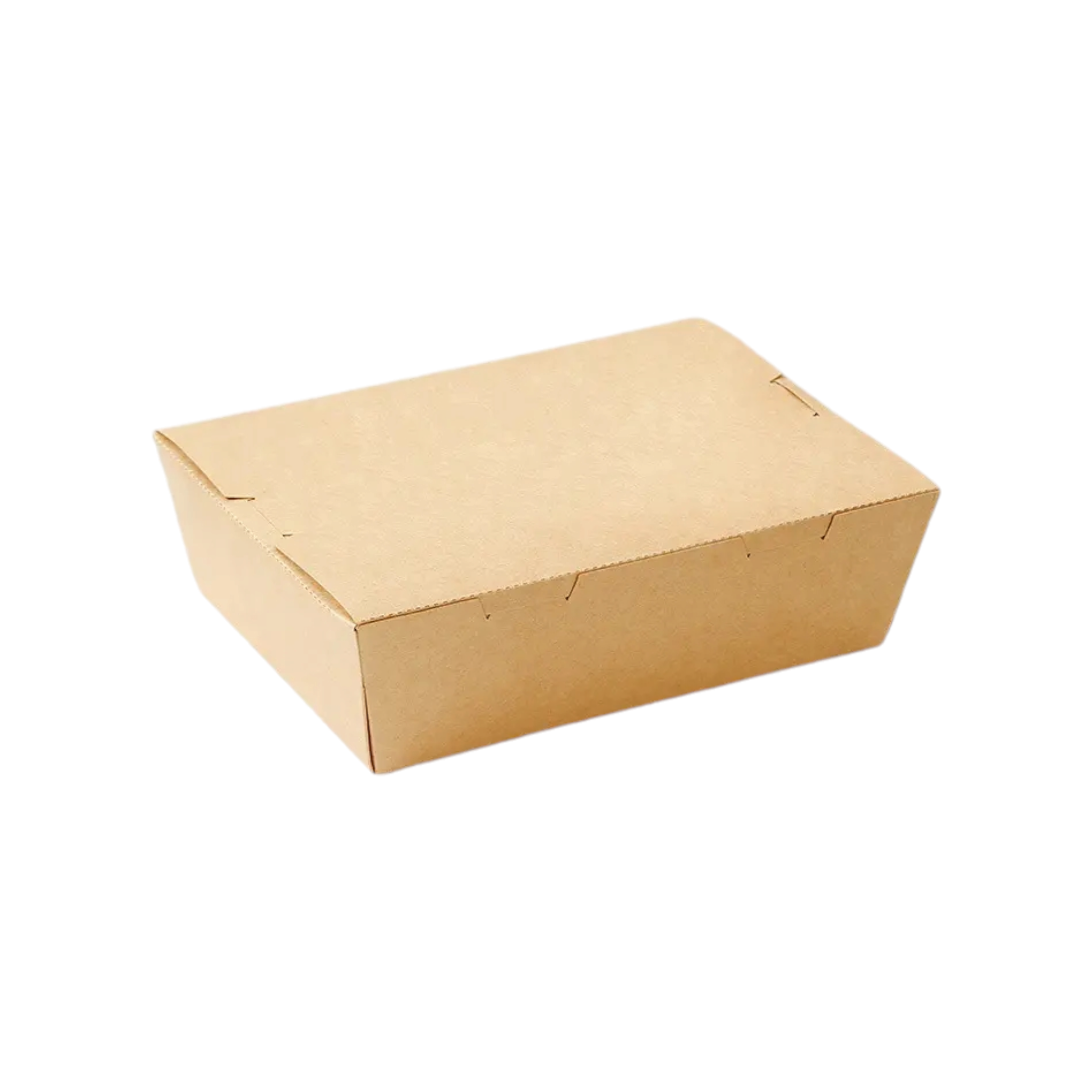 Kraft Paper Lunch Box with 5-Division