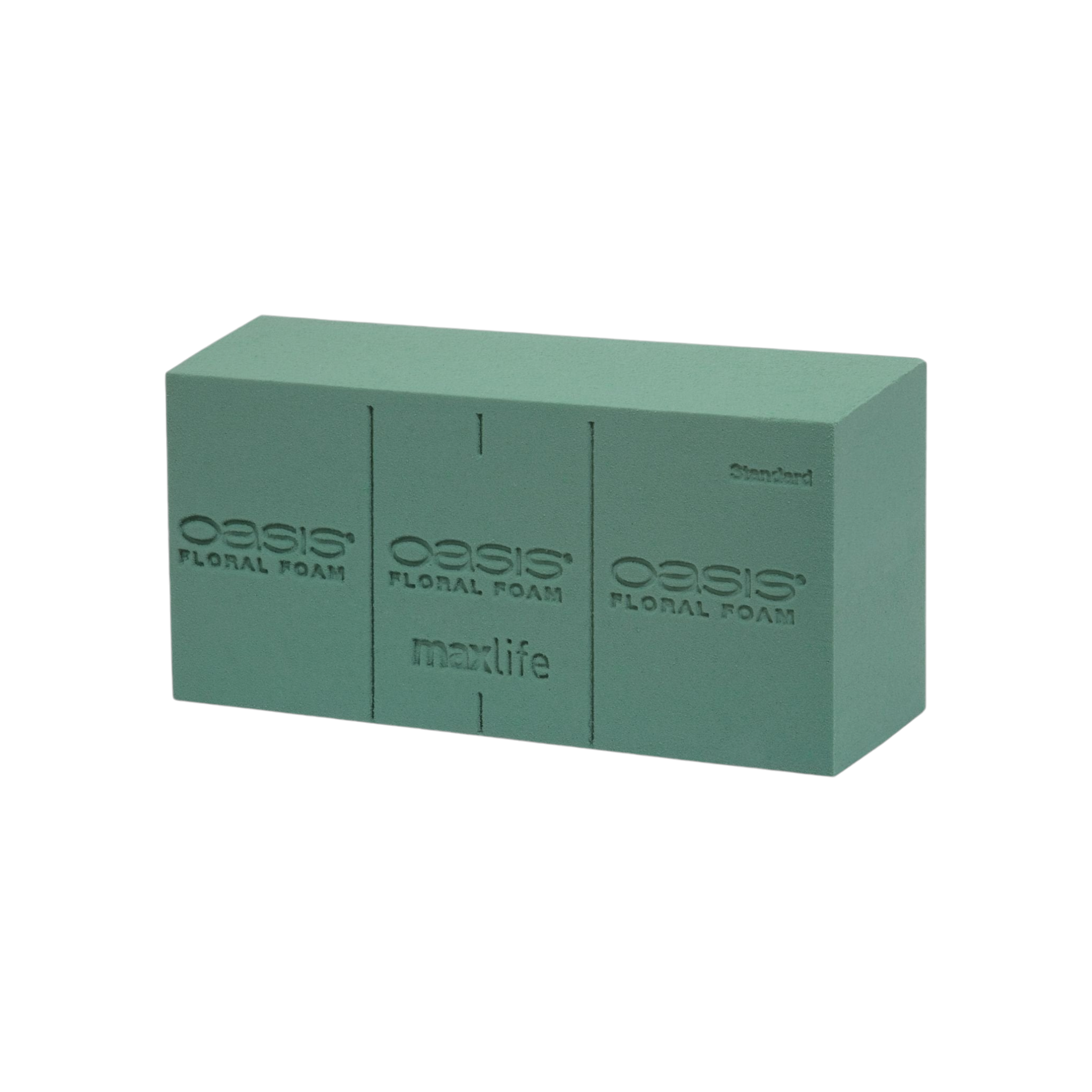 Oasis Ideal Floral Foam 2pcs Bricks Green