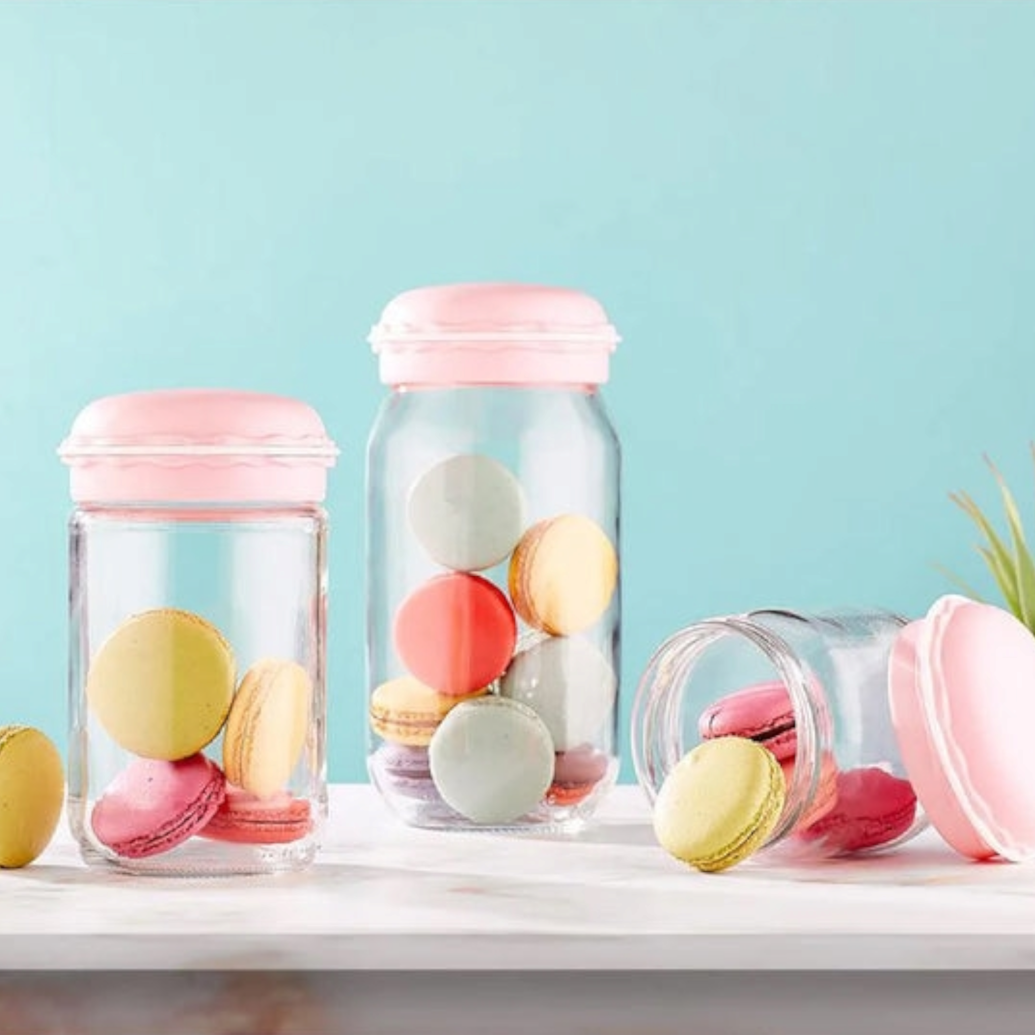 Hane Macaron Storage Jar 3pc Set HN-1362