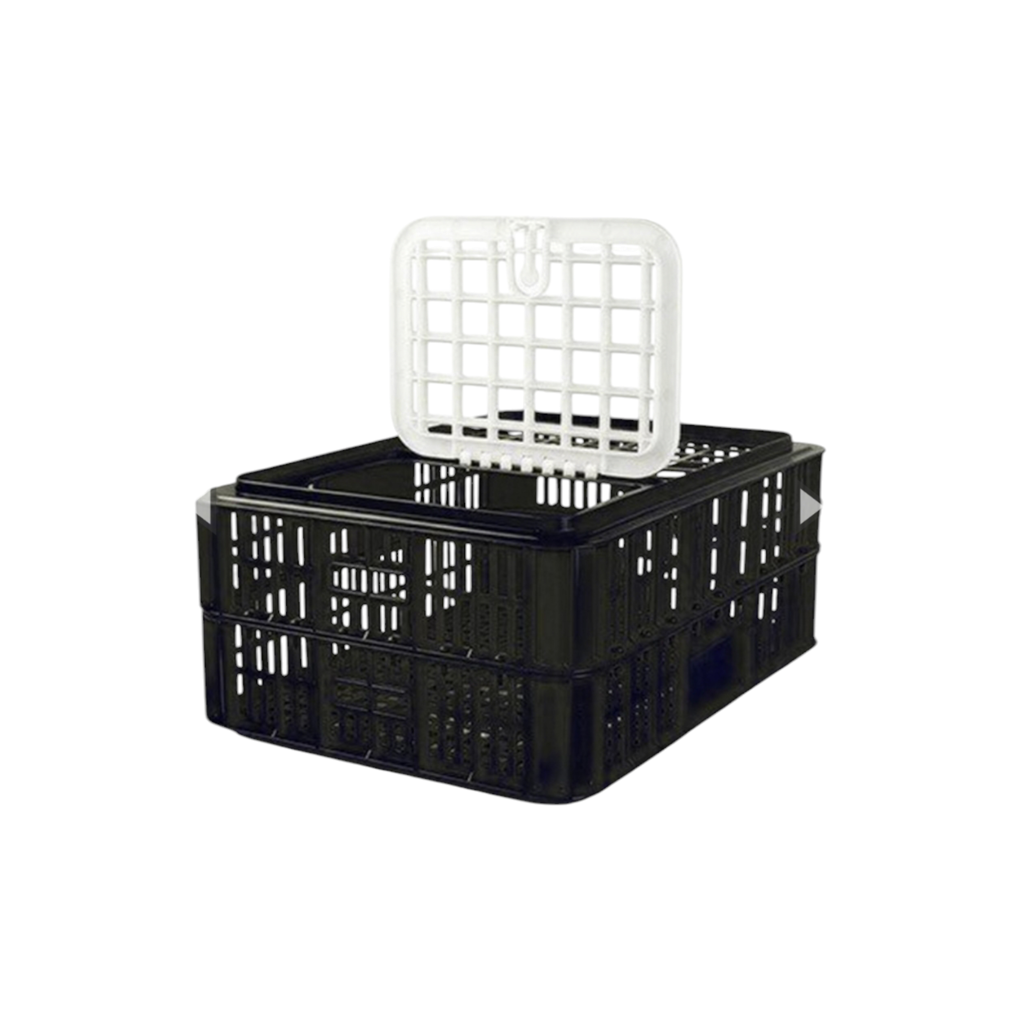 Live Chicken Coop Crate Plastic 750x535x330 - X10Birds