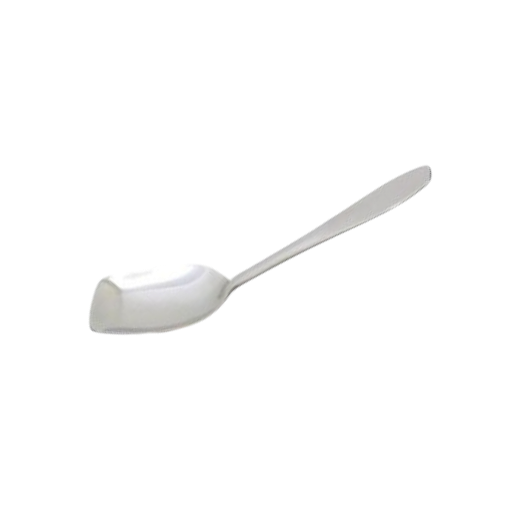 Curry Spoon Stainless Steel 28cm SLT50201