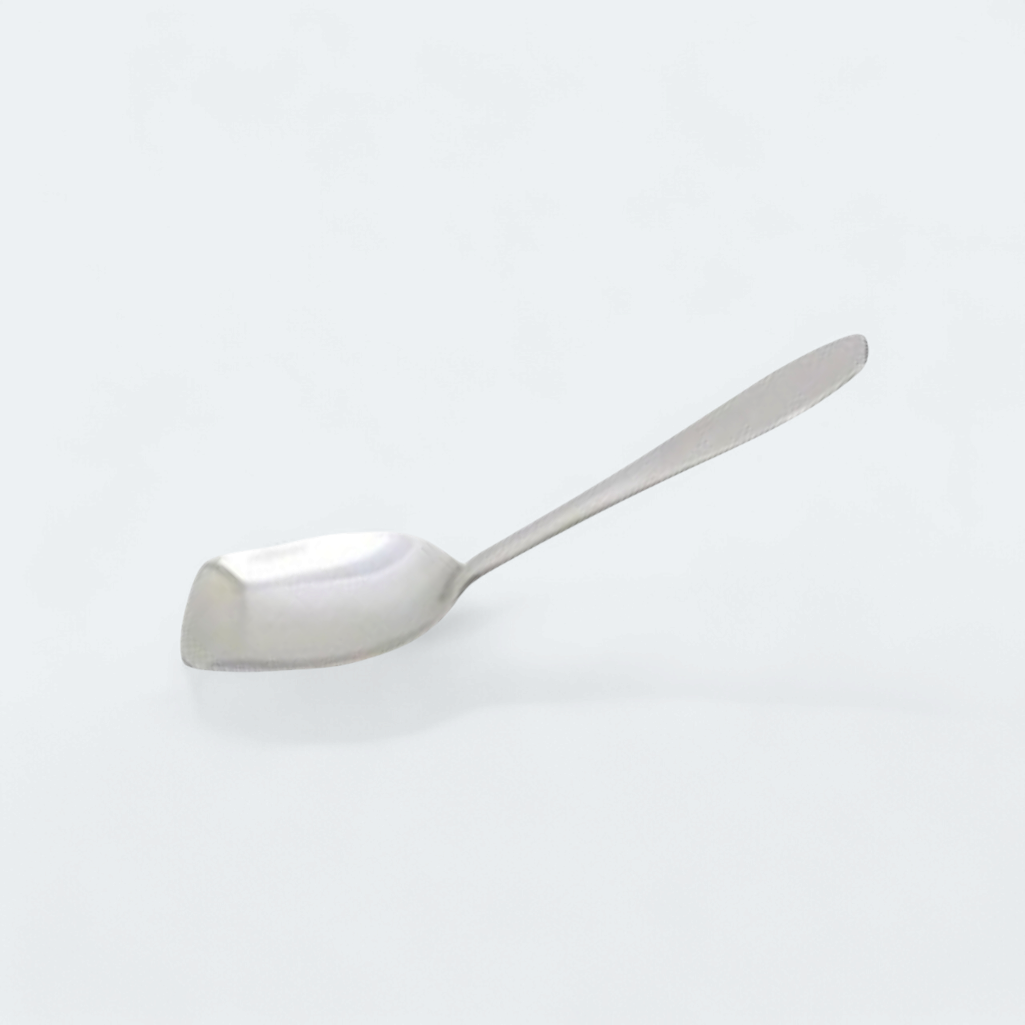 Curry Spoon Stainless Steel 28cm SLT50201