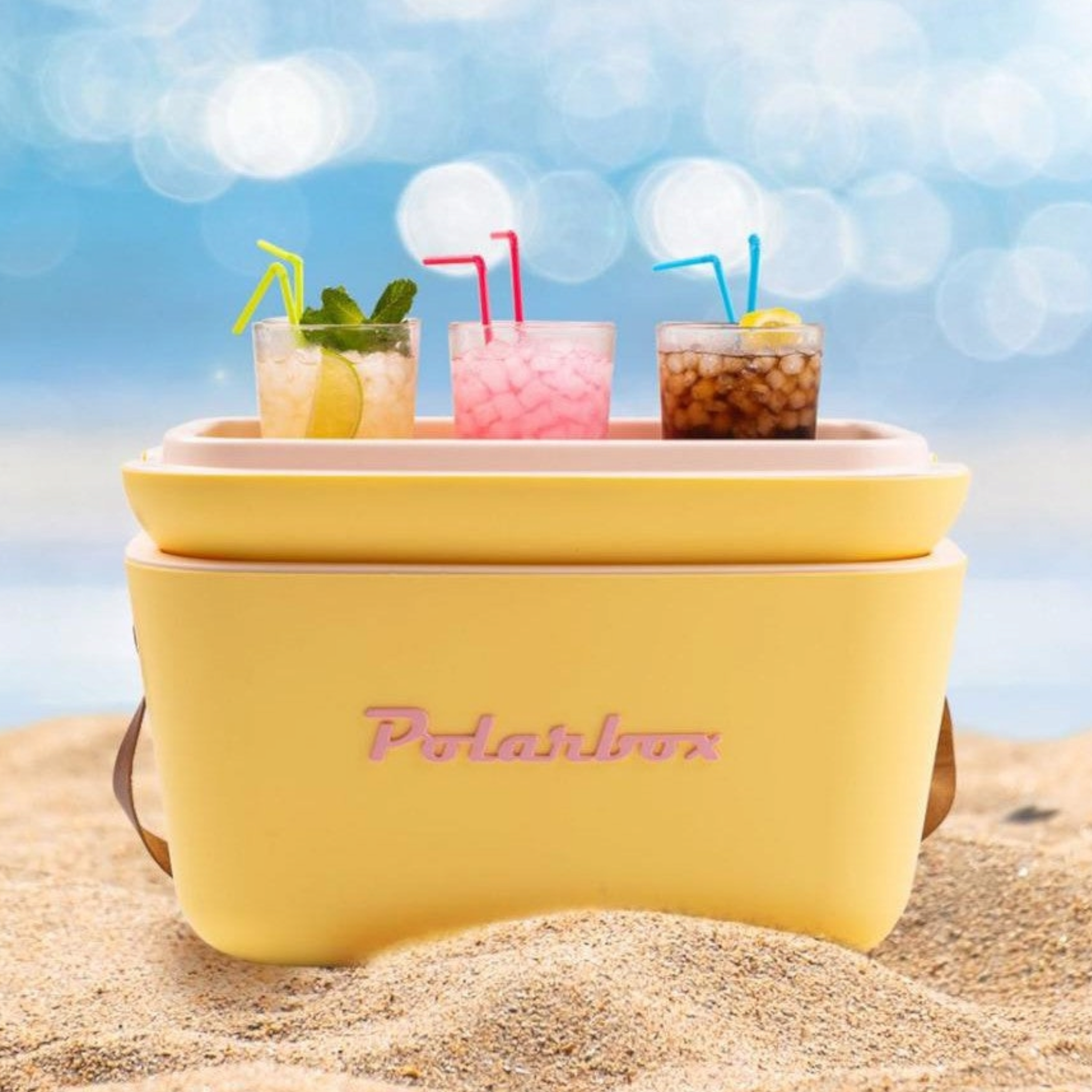 Polarbox 20L Retro Cooler Storage Container