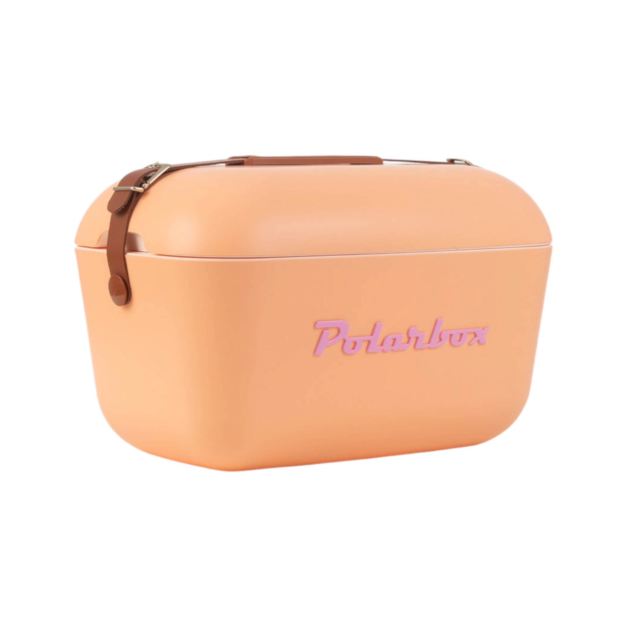 Polarbox 20L Retro Cooler Storage Container