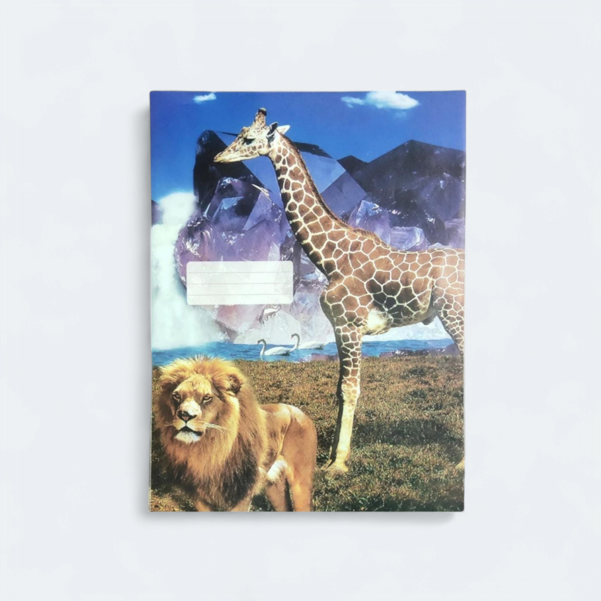 A4 Ready Cut Book Covers 5pack