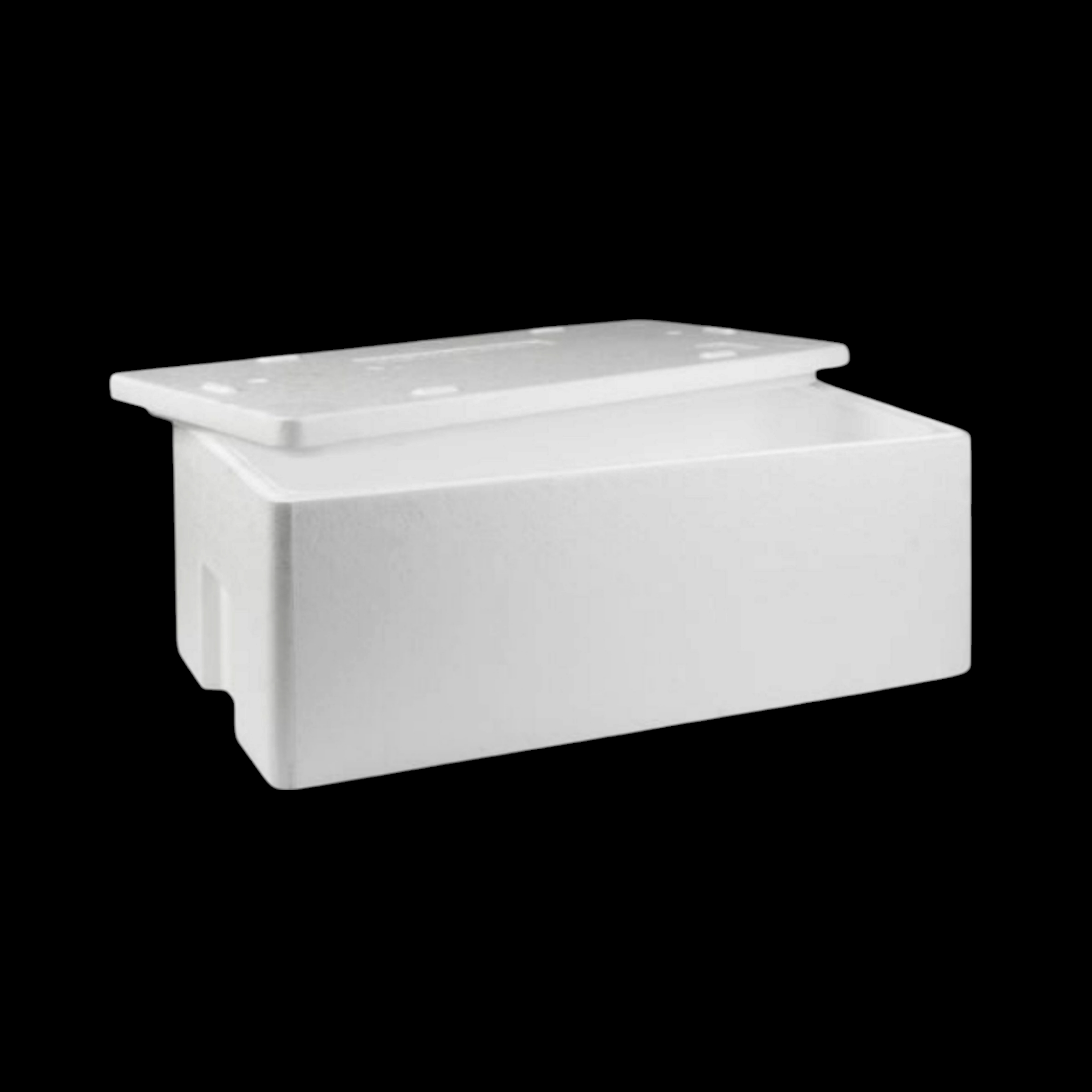 Polystyrene Cooler Box 20kg Thermal Storage Box