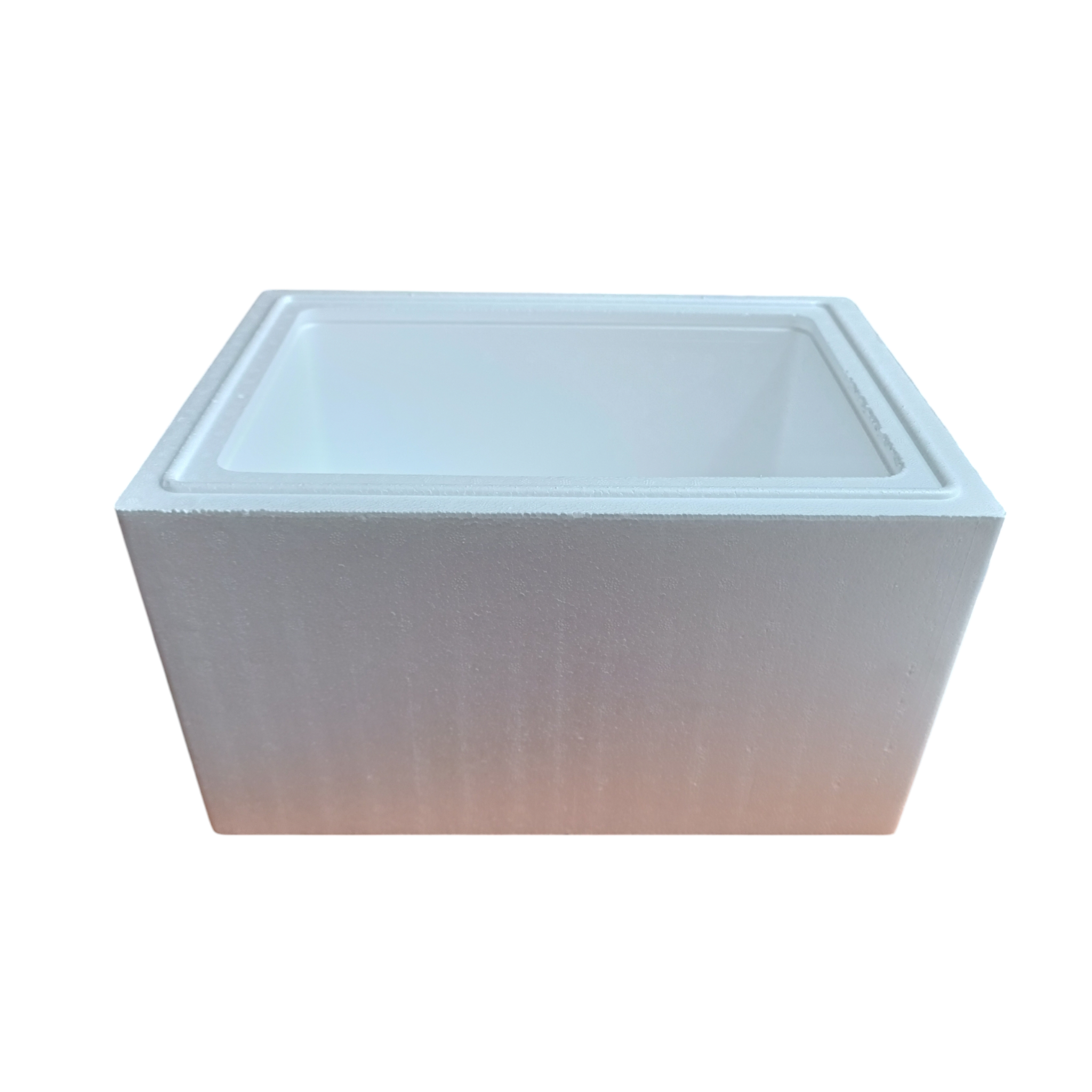 Polystyrene 6L Cooler Box Shallow  Thermal Storage Box with Lid- Fits 6pack