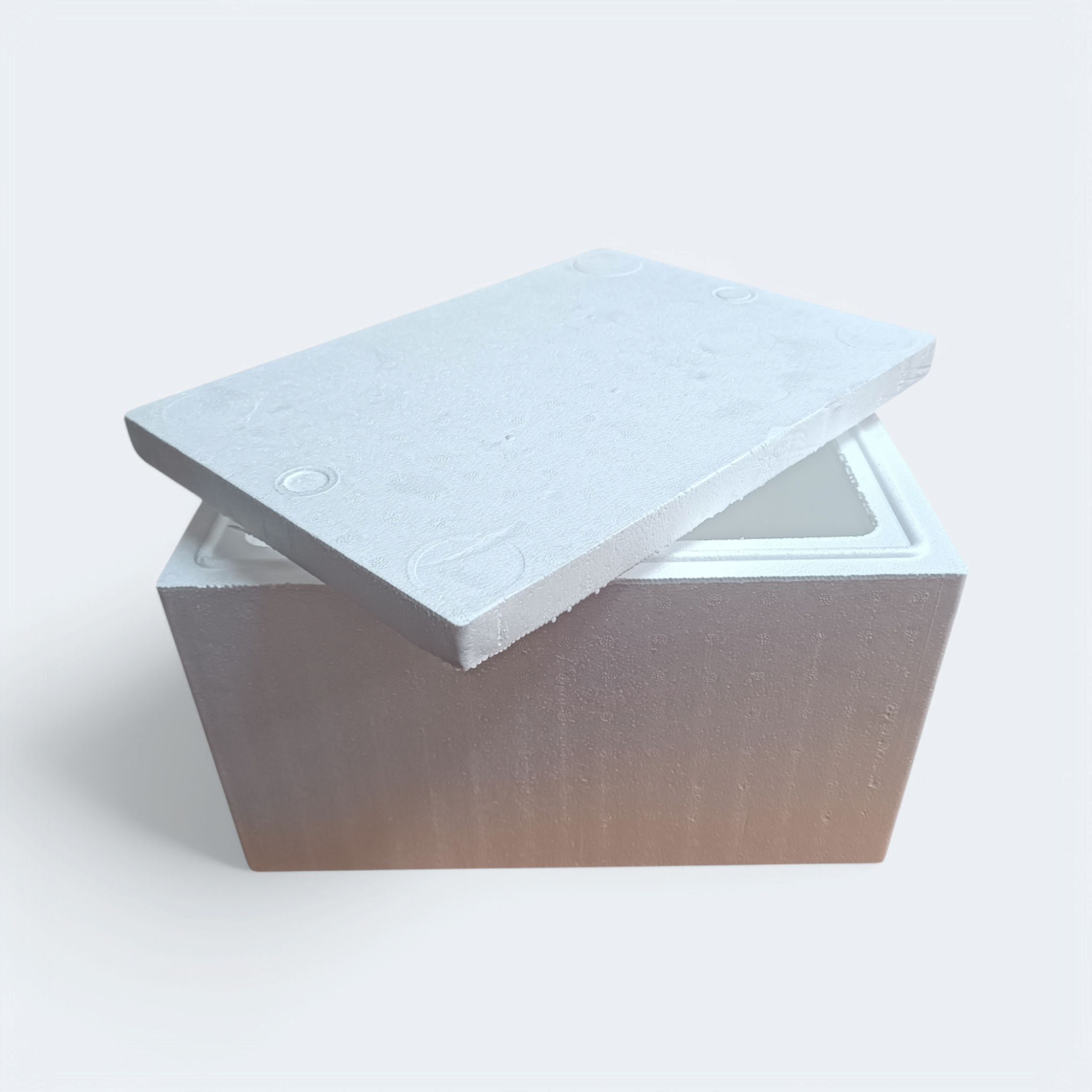 Polystyrene 6L Cooler Box Shallow  Thermal Storage Box with Lid- Fits 6pack