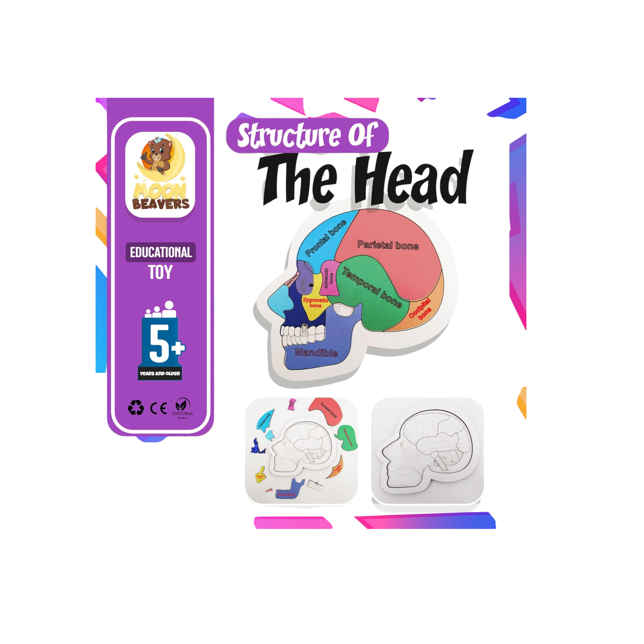 Educational Toy Structure Of The Head Puzzle 20x20cm MB38