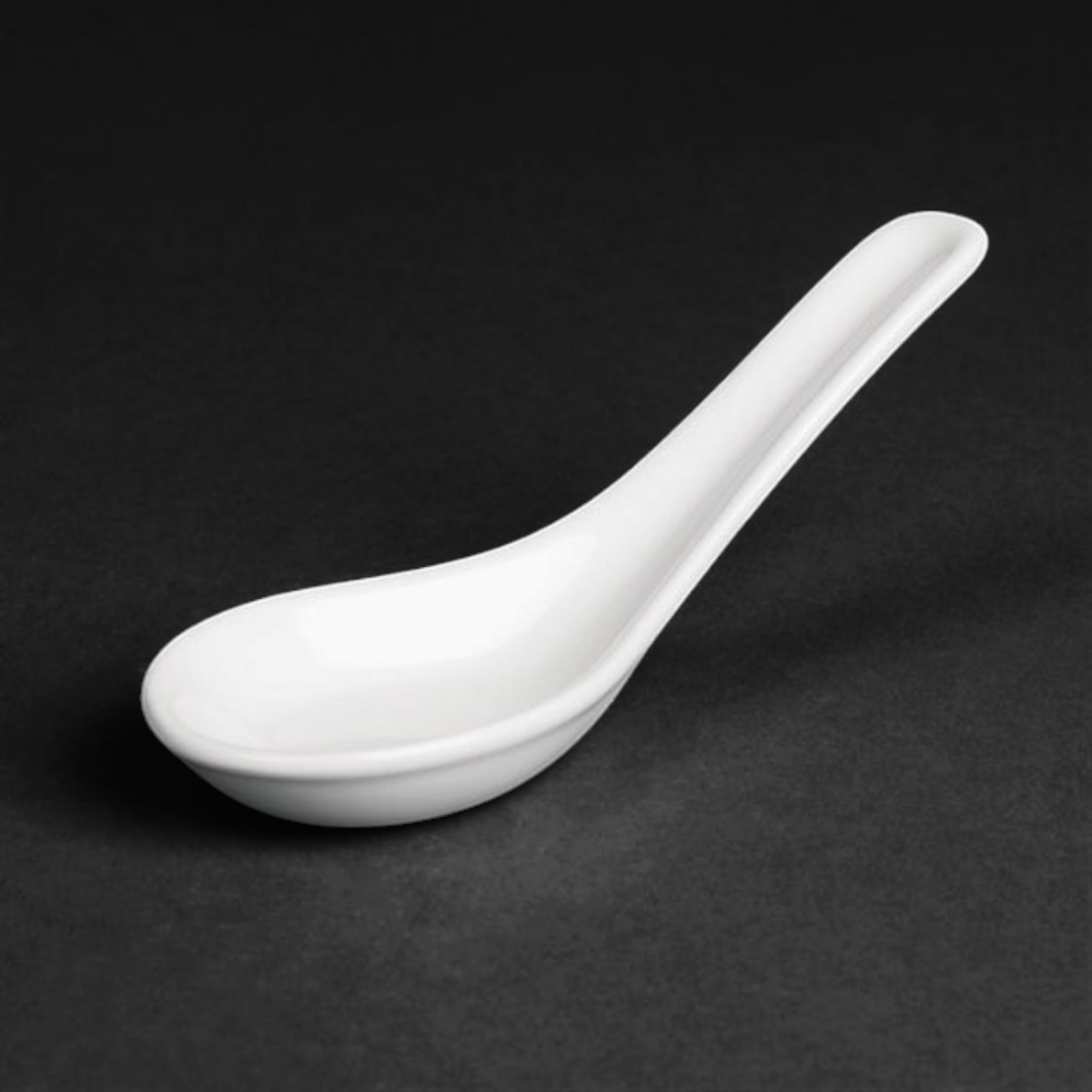 Ceramic Chinese Spoon