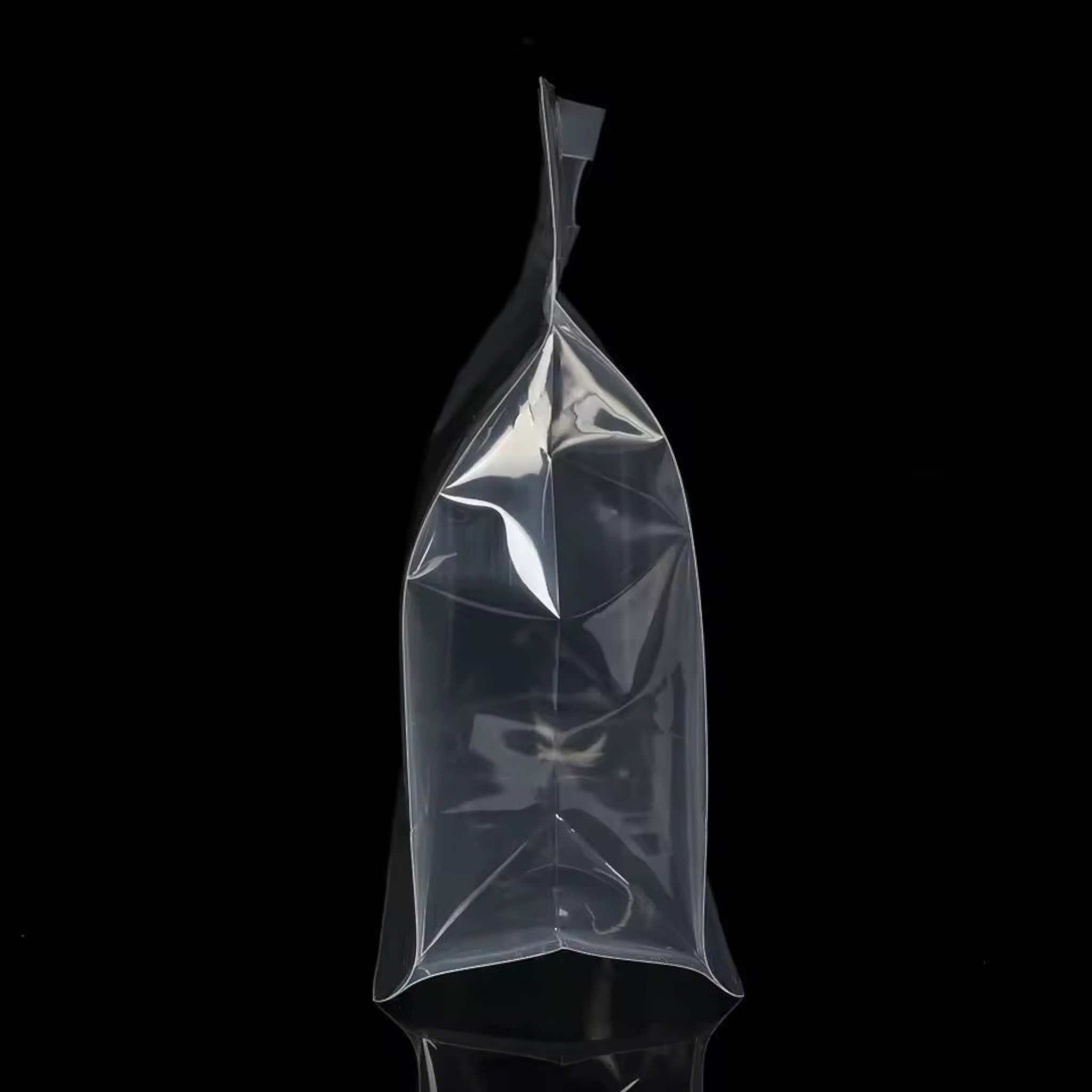 Food Grade Zip Lock Stand-Up Carry Pouch Plastic Bags - Octagon Landscape Transparent with Handle Flat Bottom Gusset 10pack Resealable