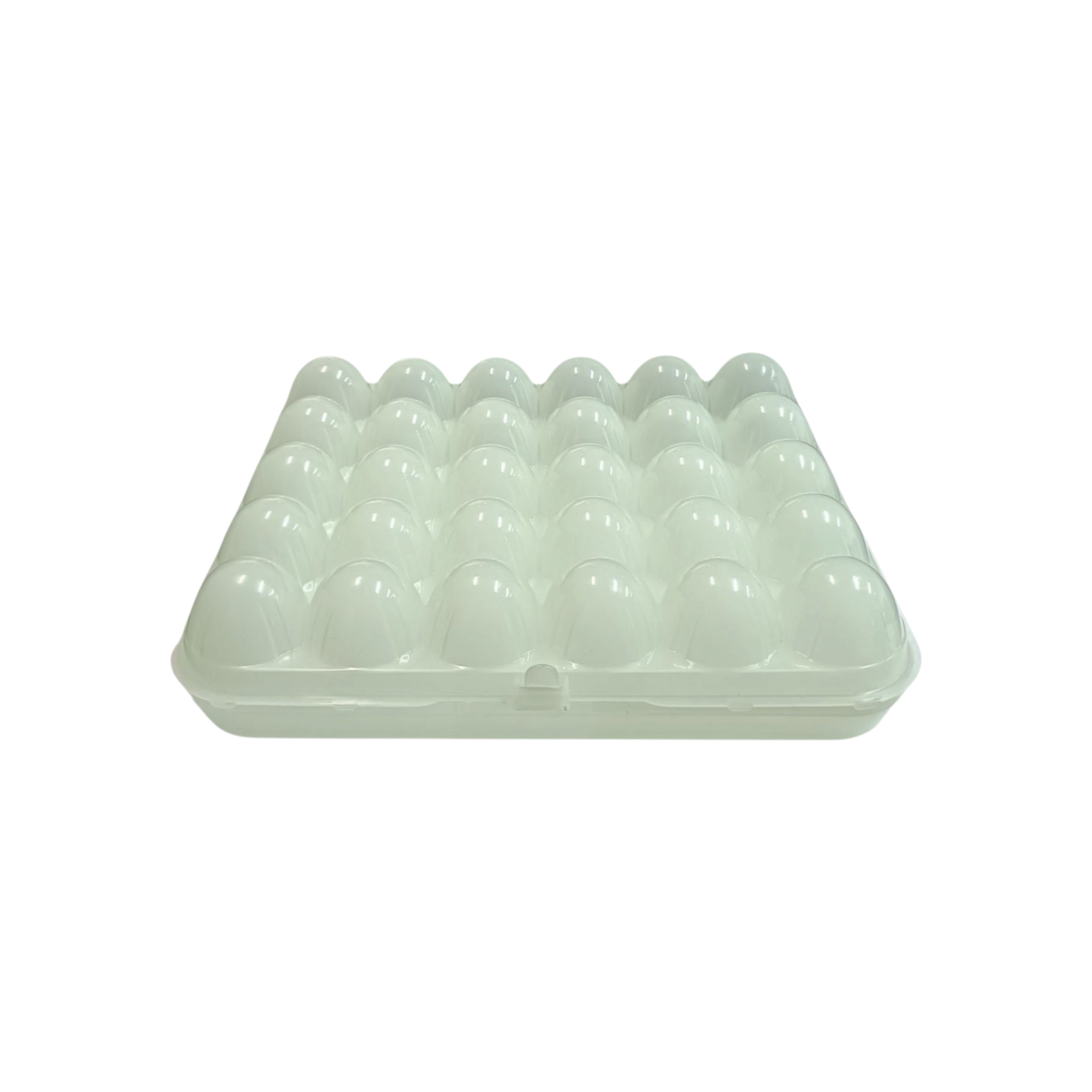 Nu Ware Egg Storage Tray Holder 30-Grid Rectangle 24x29cm