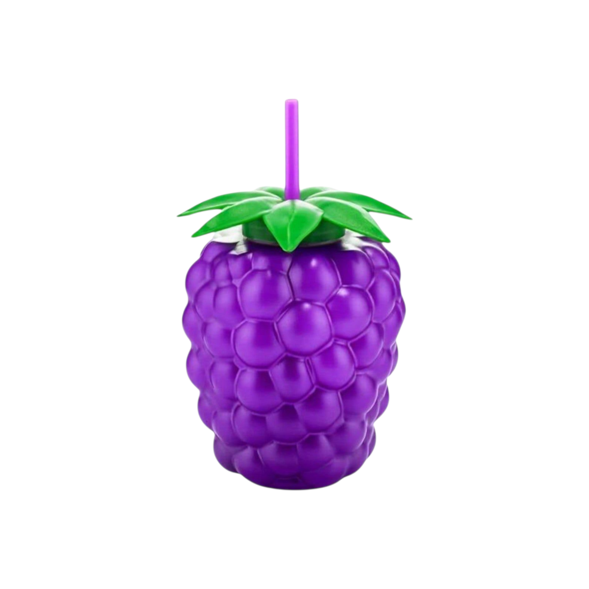 800ml Blackberry Tumbler with Straw