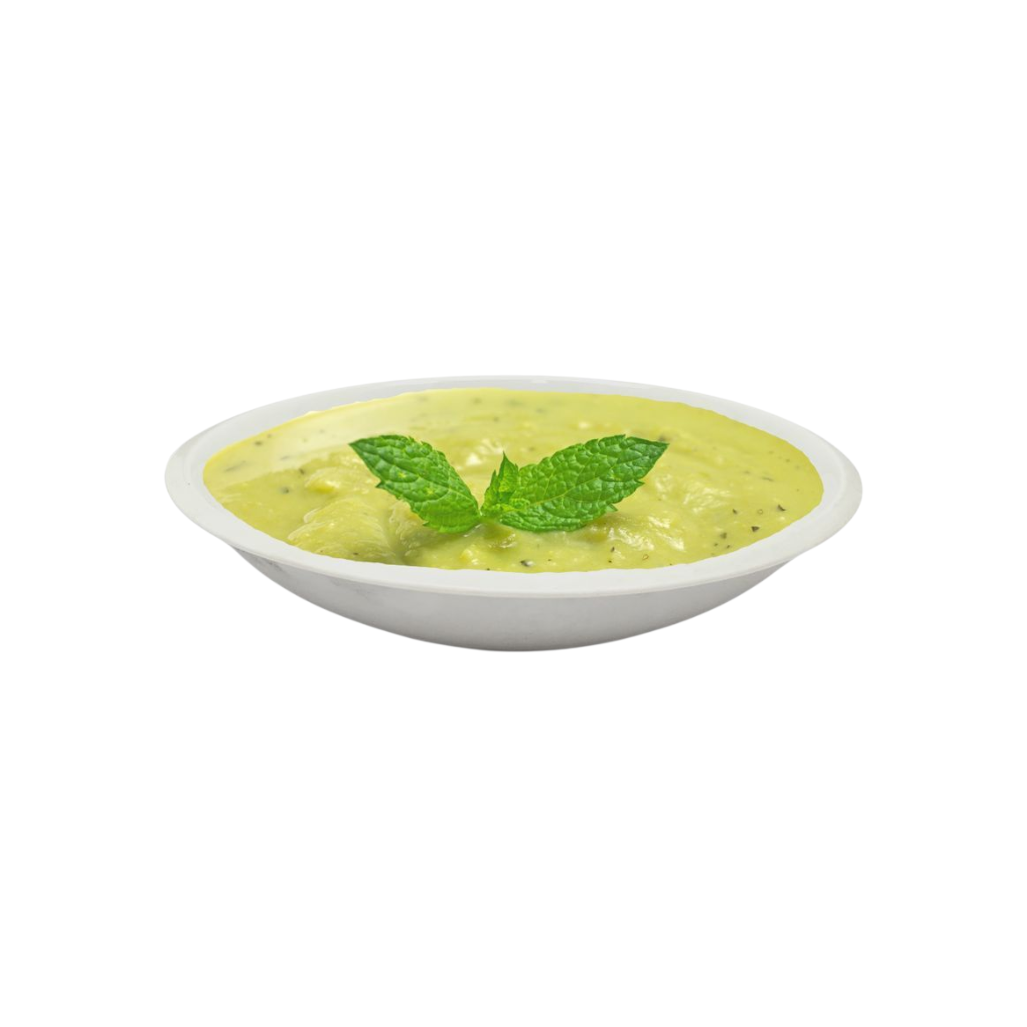 Dinner Soup Plate 10inch