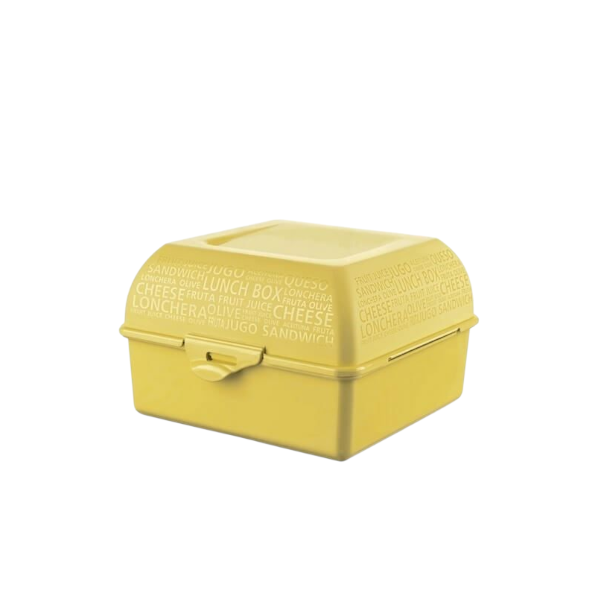 Titiz Takeaway Lunch Box with Division 850ml AP9081