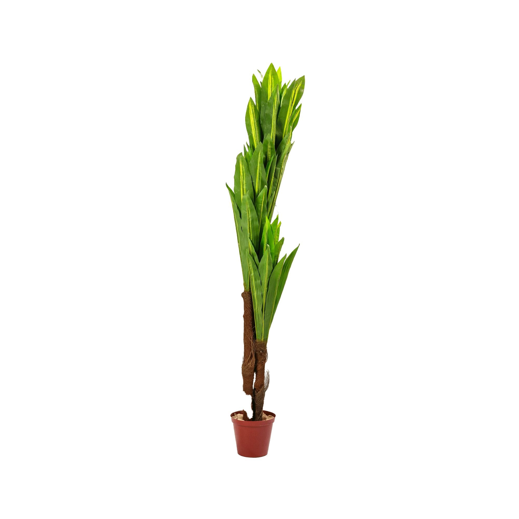 Artificial  Dracaena Trifasciata Plant 160cm 301