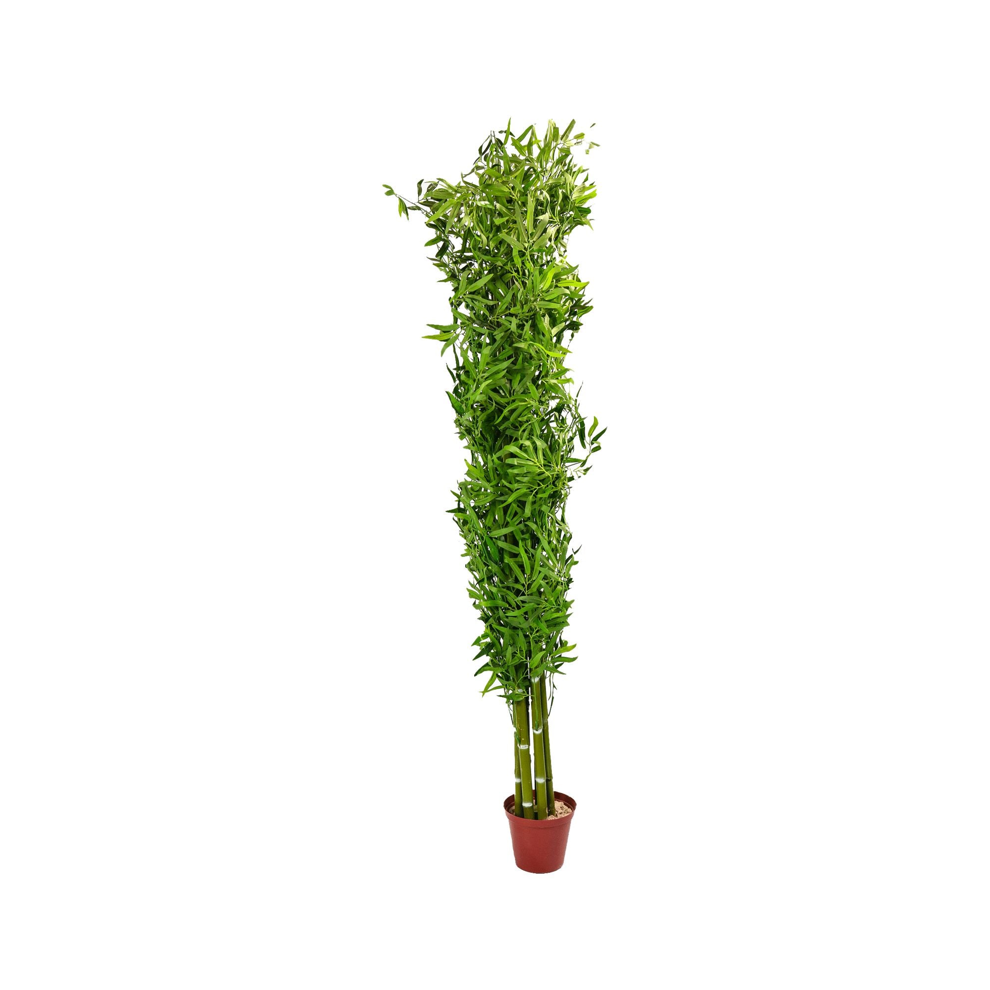 Artificial Bamboo Plant 210cm Tall 294