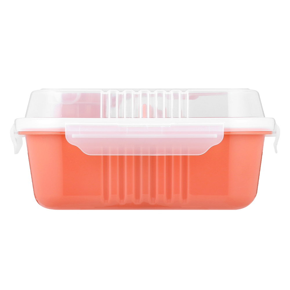 1.7L Snappy Lunch Box Rectangle Coral SN-1700C