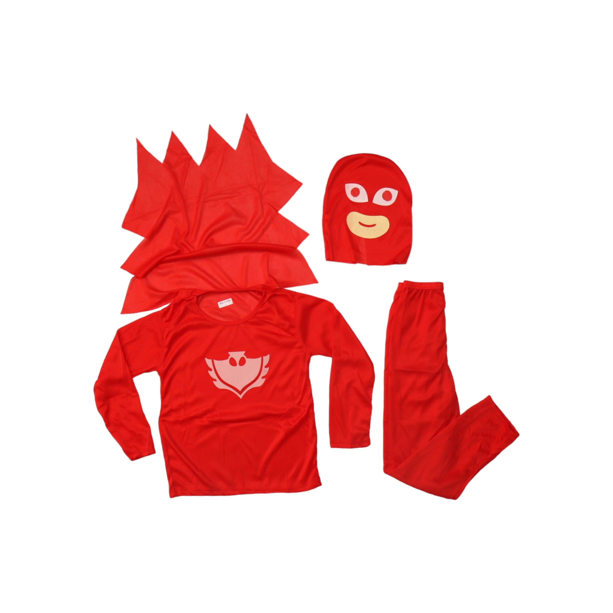 Party Kids Costume PJ Masks