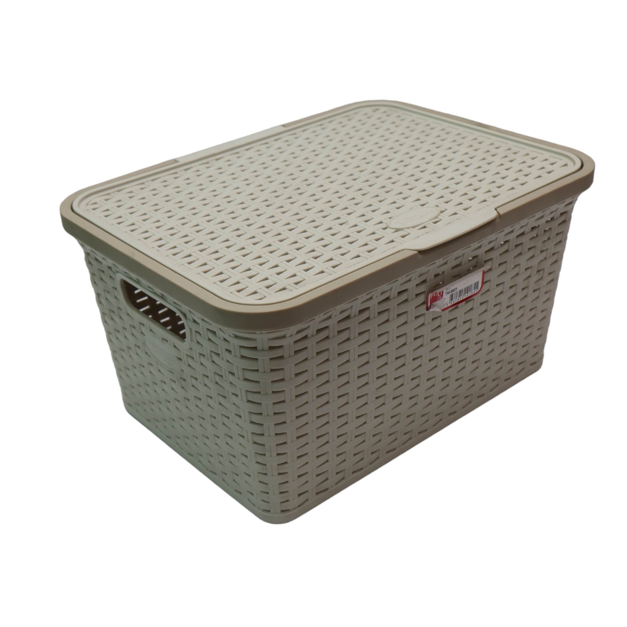 Titiz 25L Rattan Storage Box No.1 TM-9001