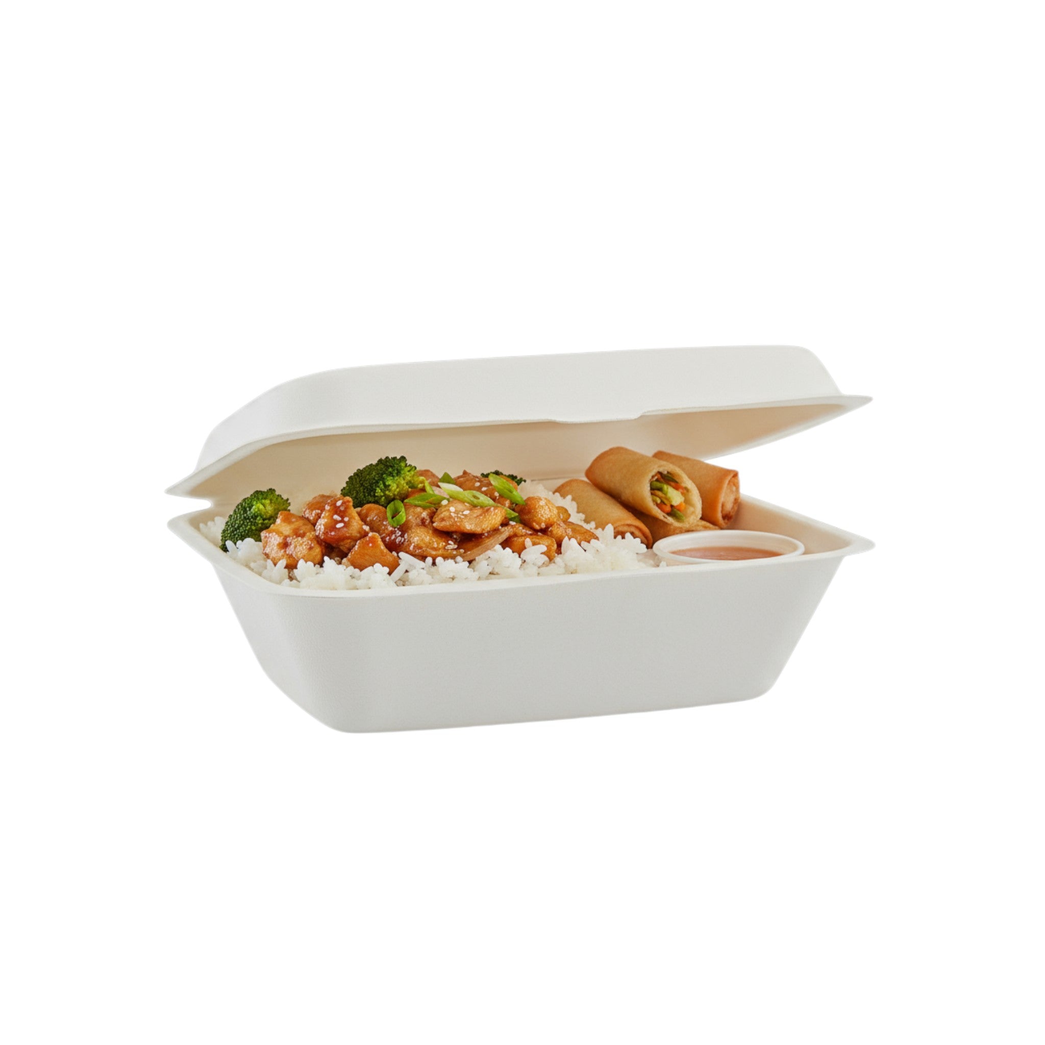 Biodegradable Bagasse Takeaway Lunchbox Clamshell 10pack 19x13x4cm deep