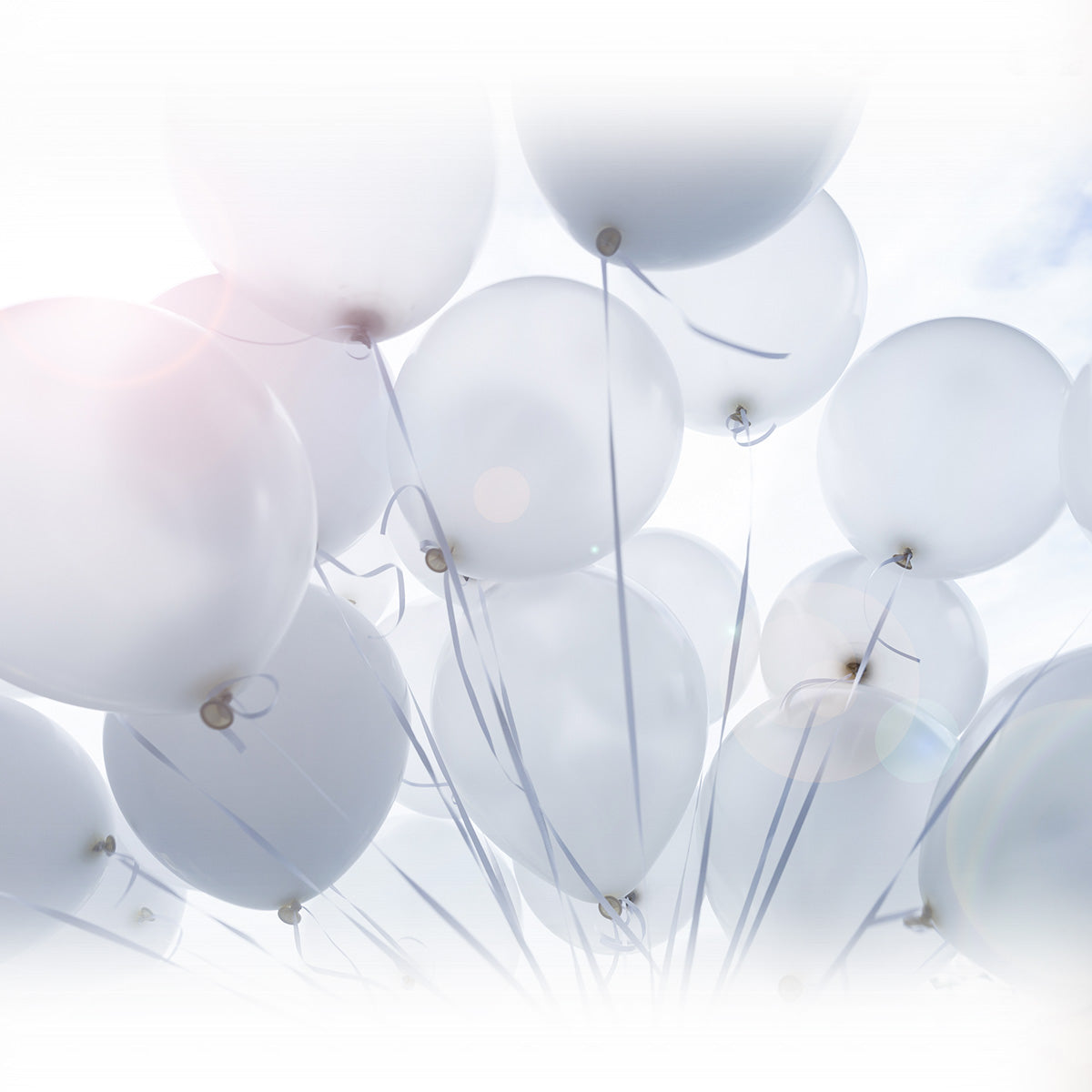 Latex White Balloons 12inch 10pack