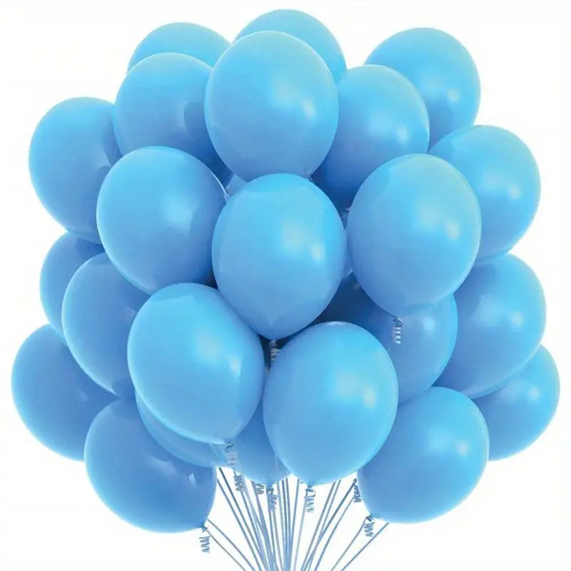 Latex Matte Party Balloons 12inch 10pack